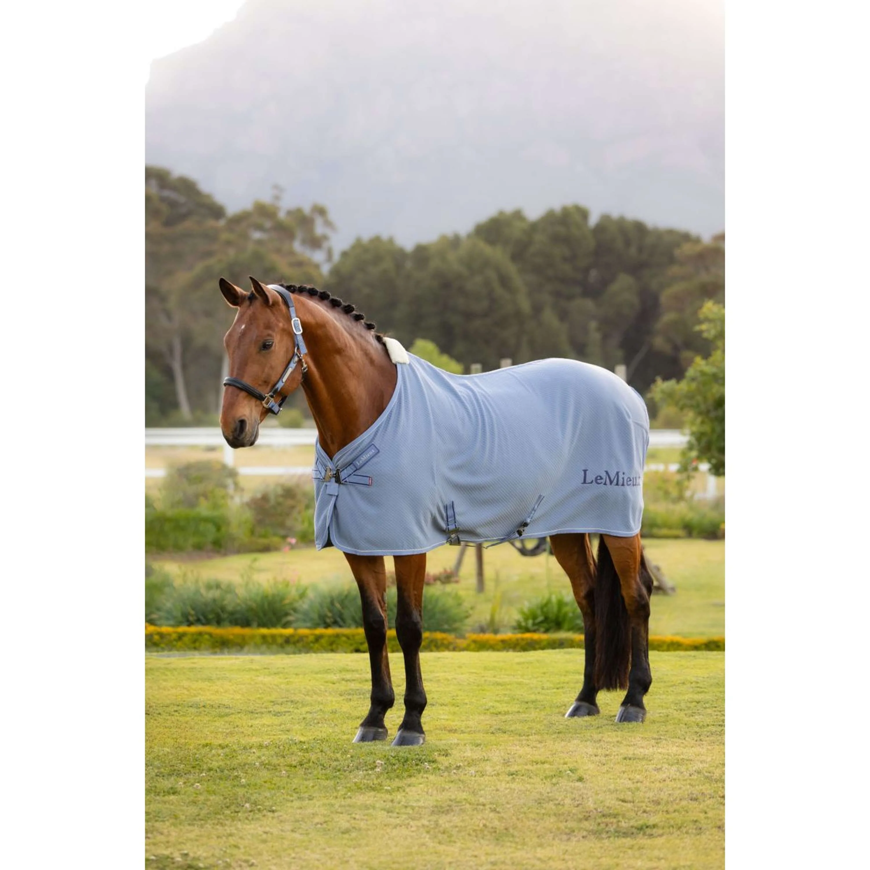 LeMieux Chemise Rafraîchissante Kudos Bamboo Powder Blue - Image 6