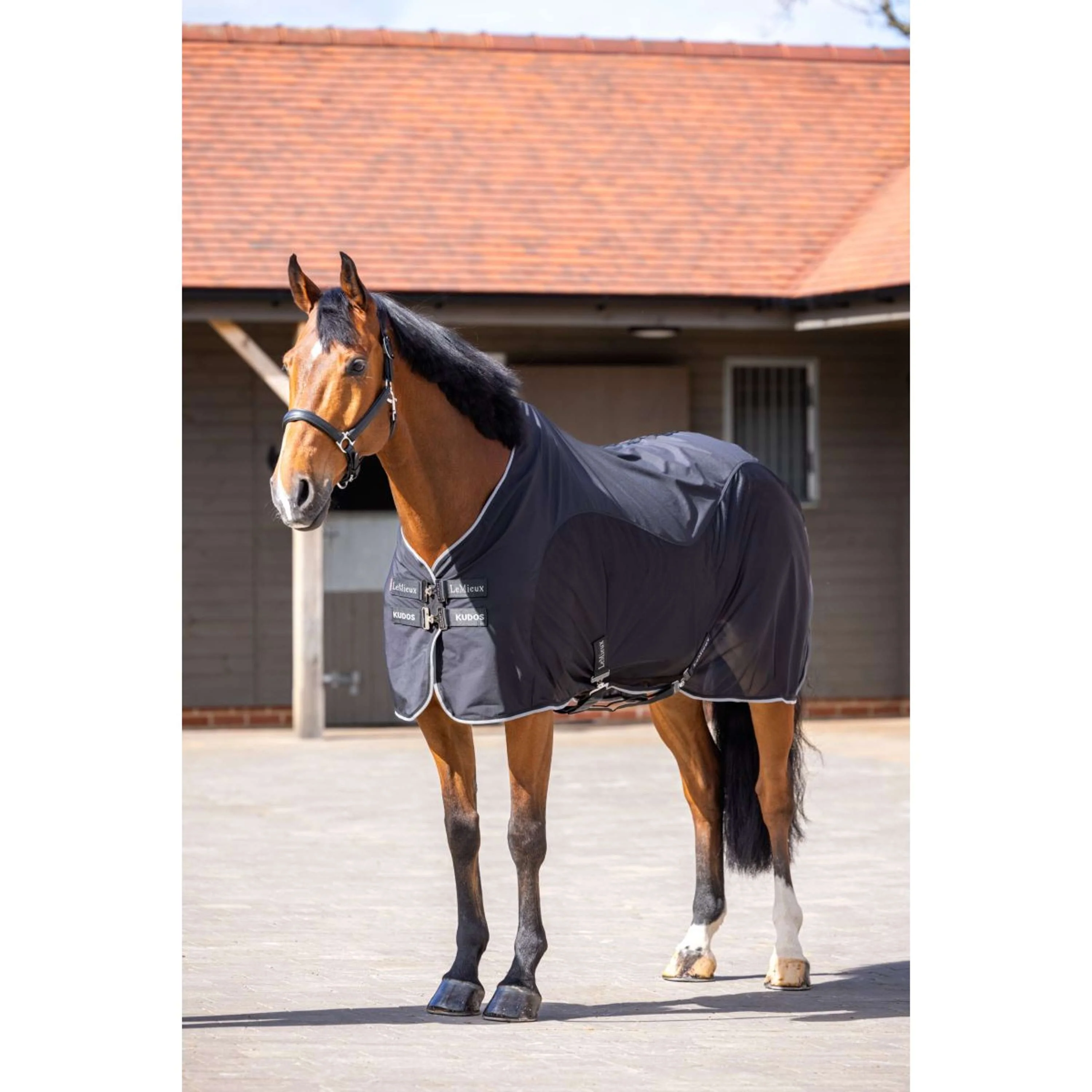 LeMieux Chemise Rafraîchissante Kudos Hybrid Noir - Image 2