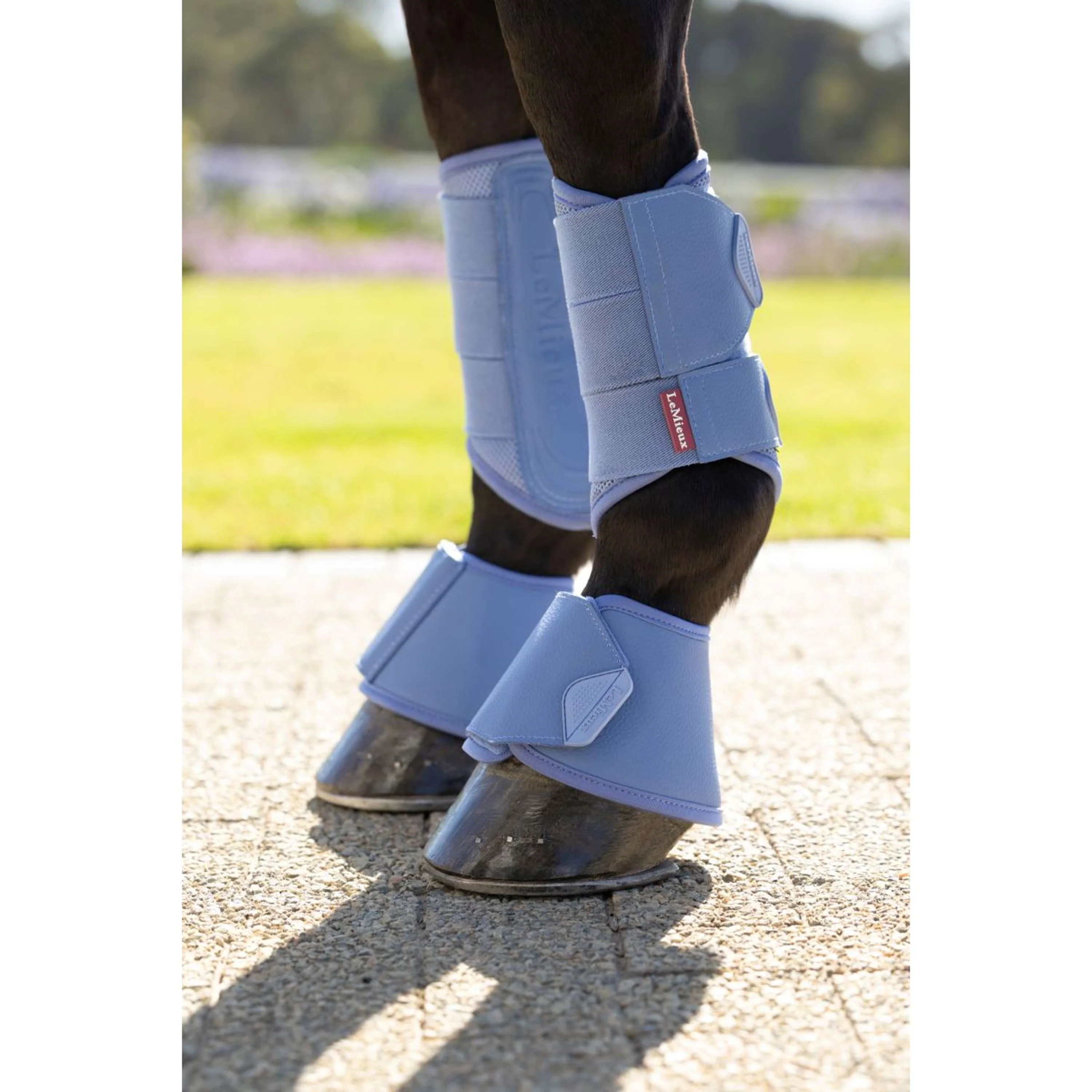 LeMieux Cloches d'Obstacles Arika Powder Blue - Image 3
