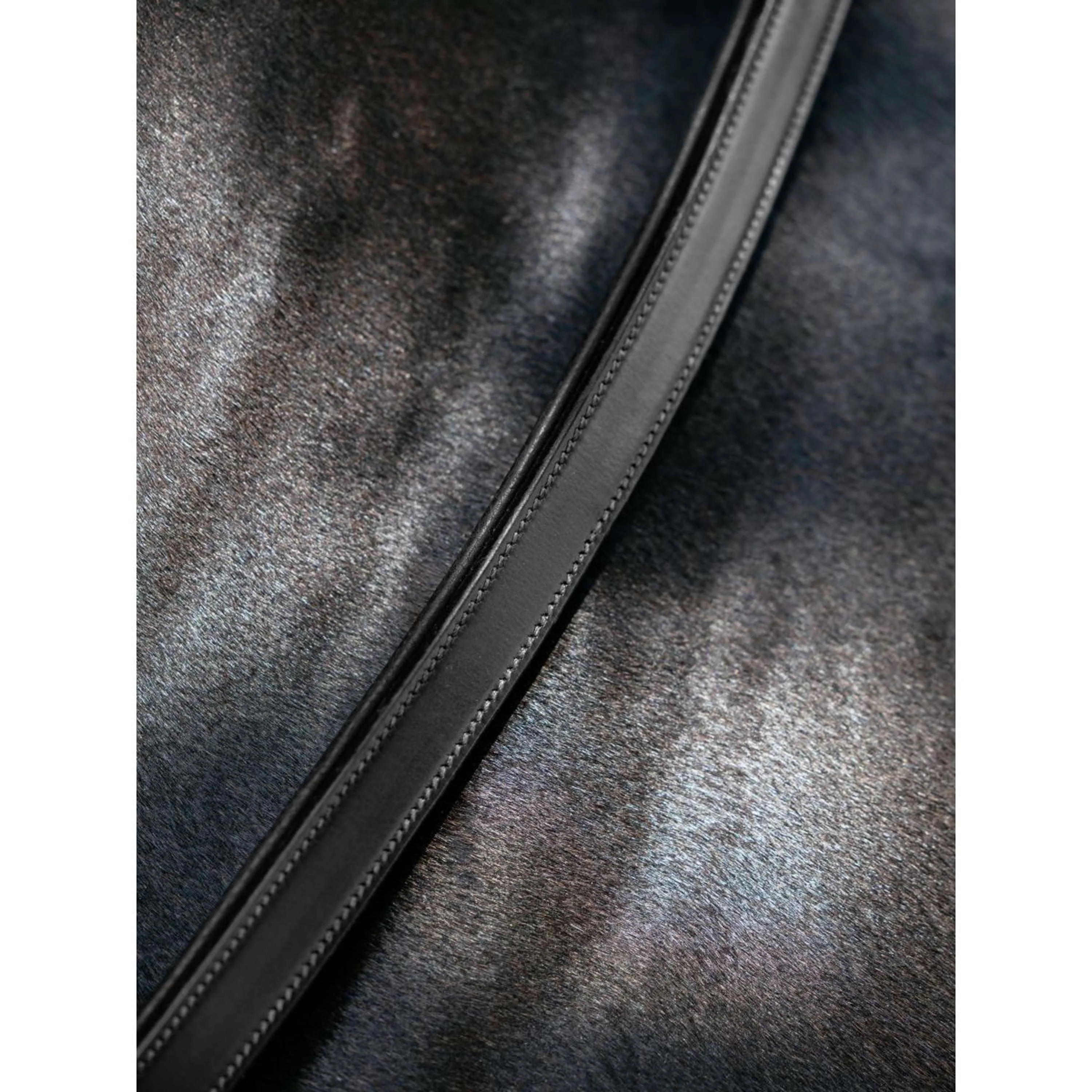 LeMieux Collier d'attache Leather Noir - Image 2