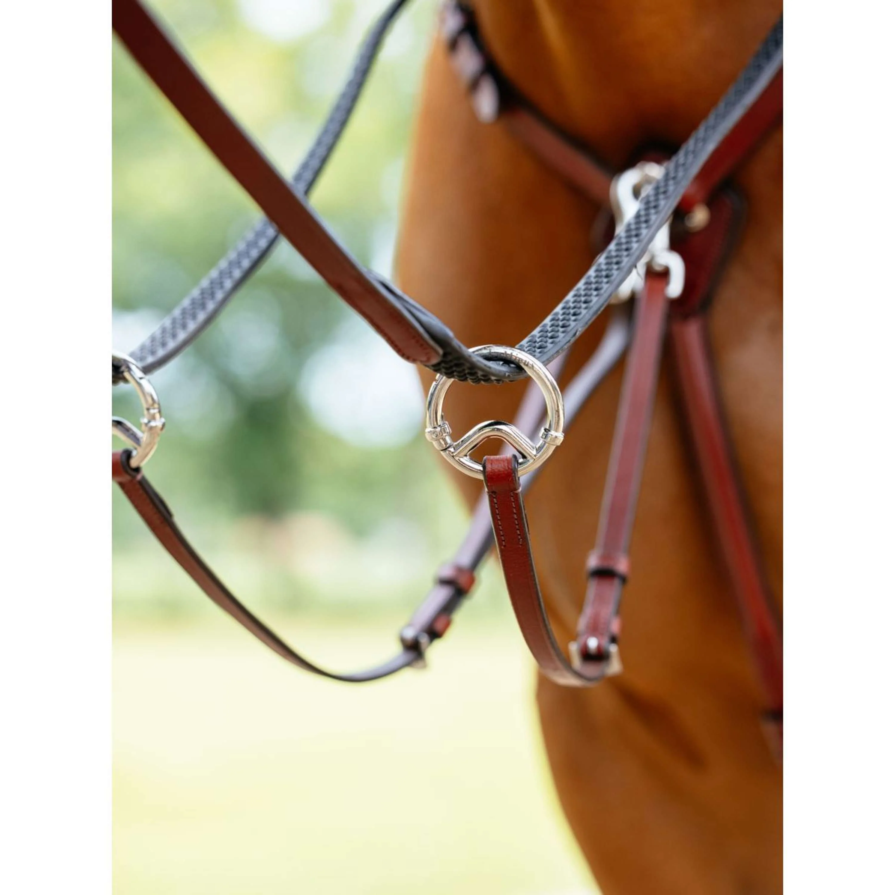 LeMieux Collier de Chasse D-Ring Attachment Châtaigne - Image 2