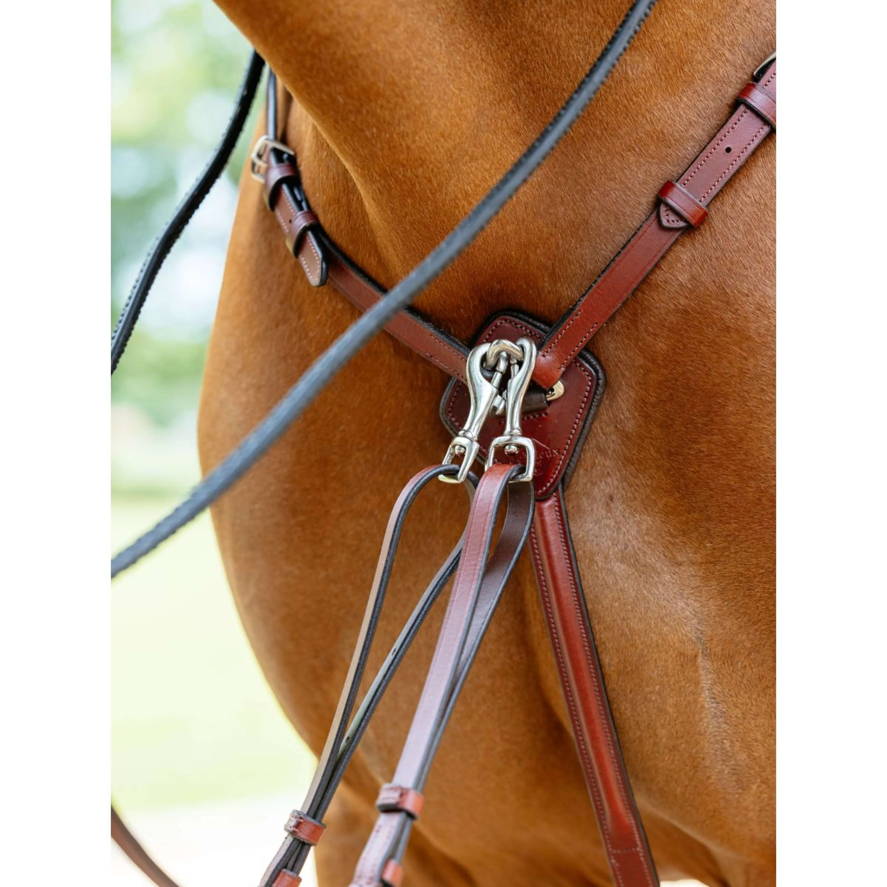 LeMieux Collier de Chasse D-Ring Attachment Châtaigne - Image 3