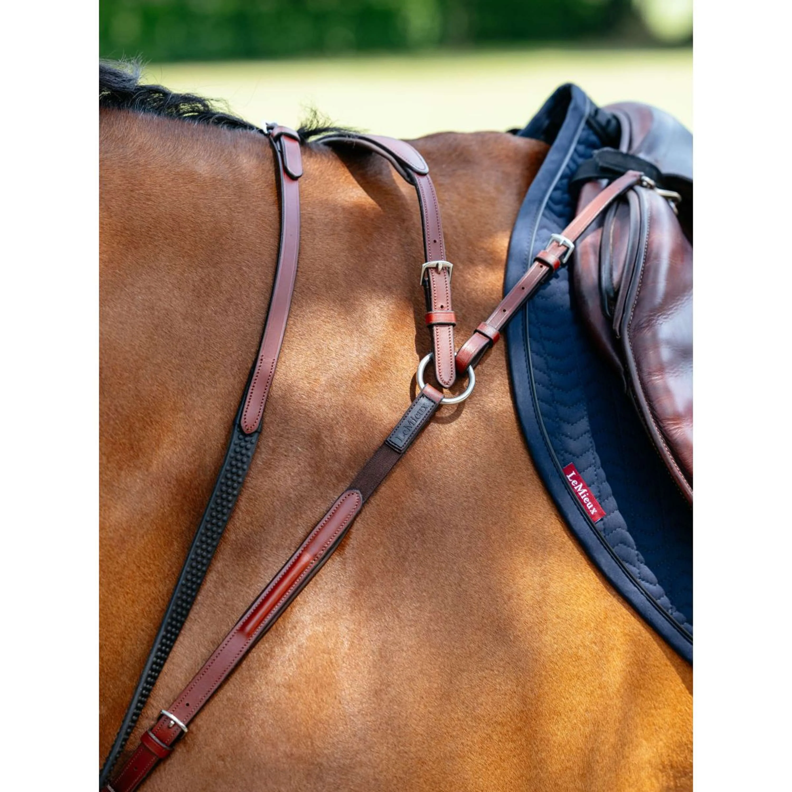 LeMieux Collier de Chasse D-Ring Attachment Châtaigne - Image 4