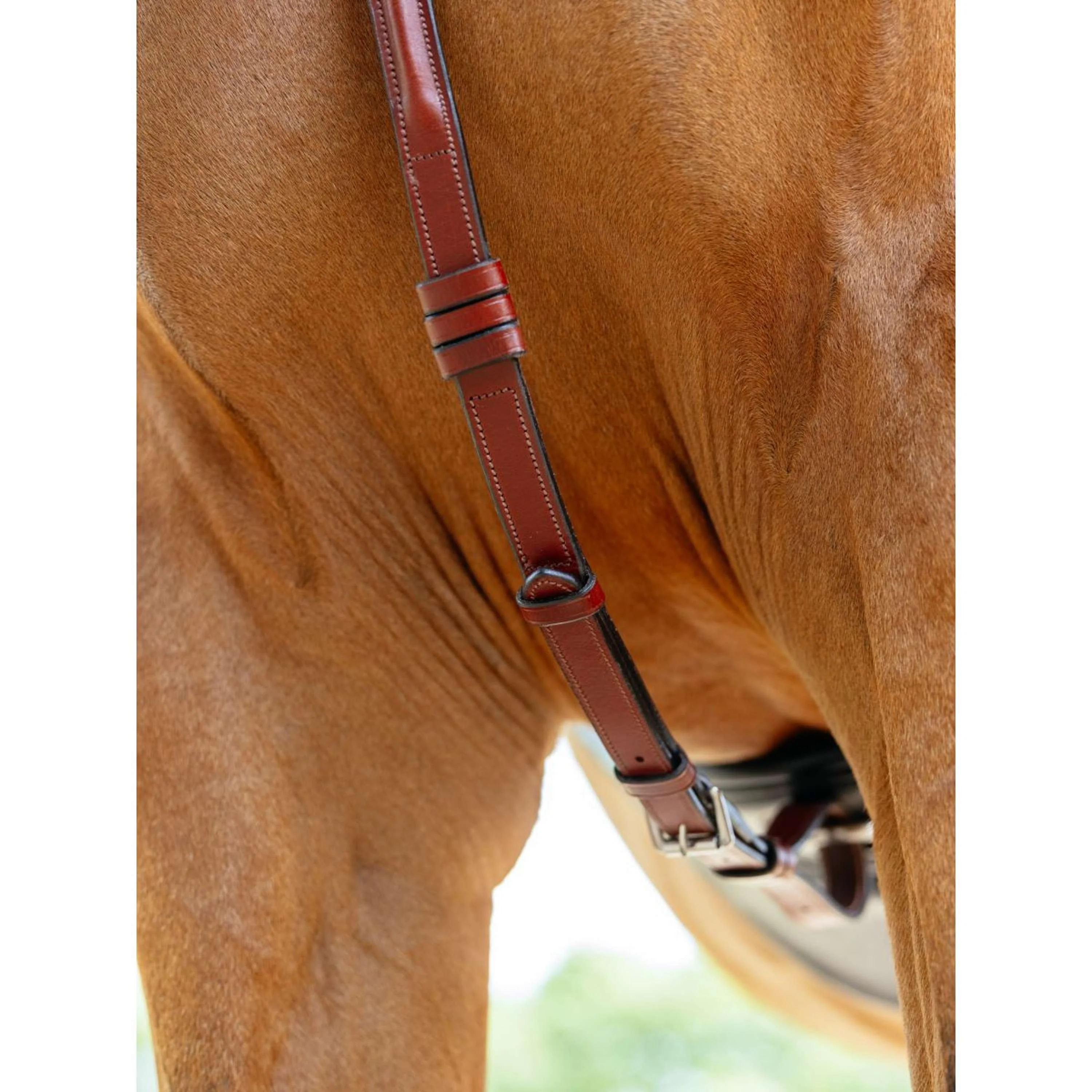LeMieux Collier de Chasse D-Ring Attachment Châtaigne - Image 5