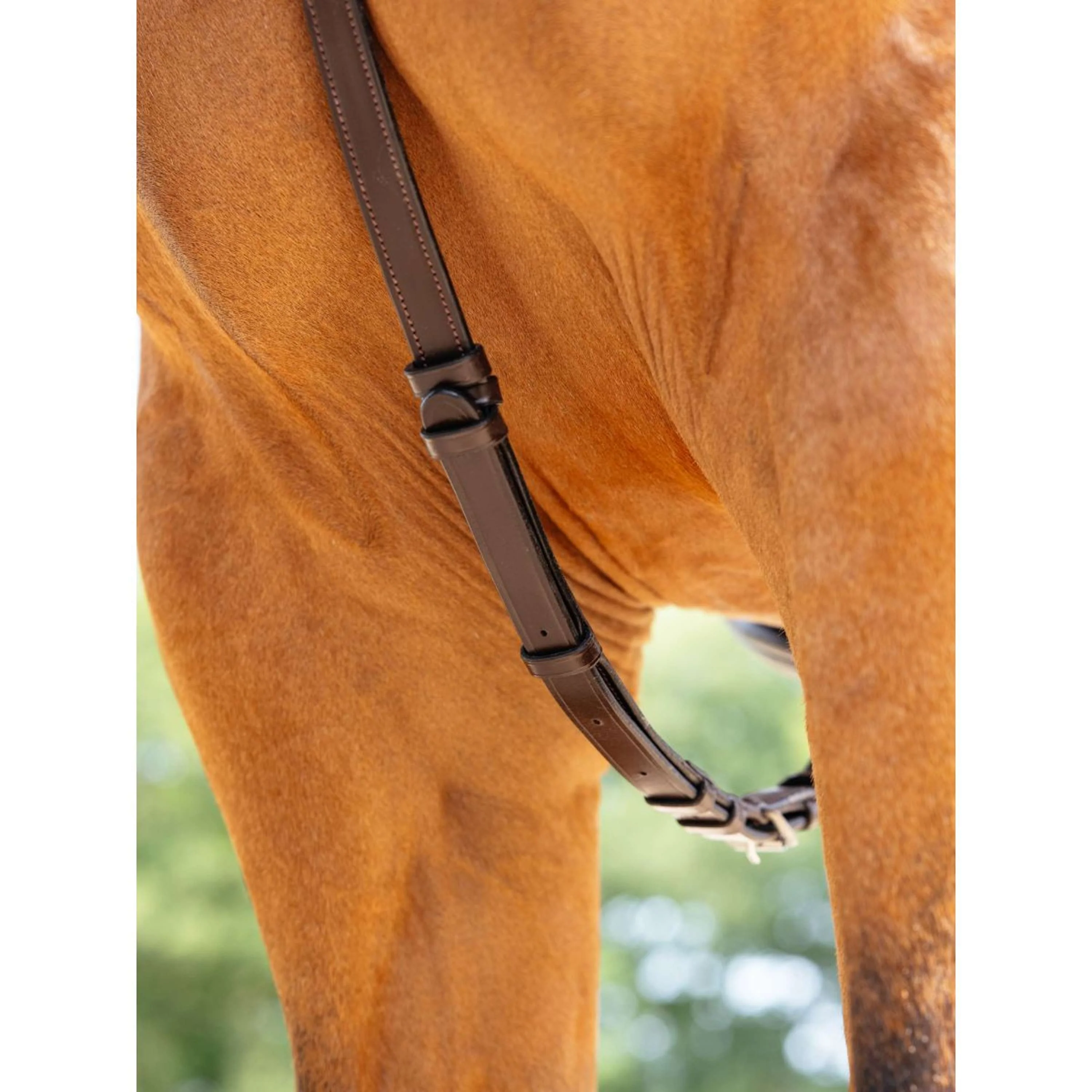LeMieux Collier de Chasse Kudos Bridge Havane - Image 2