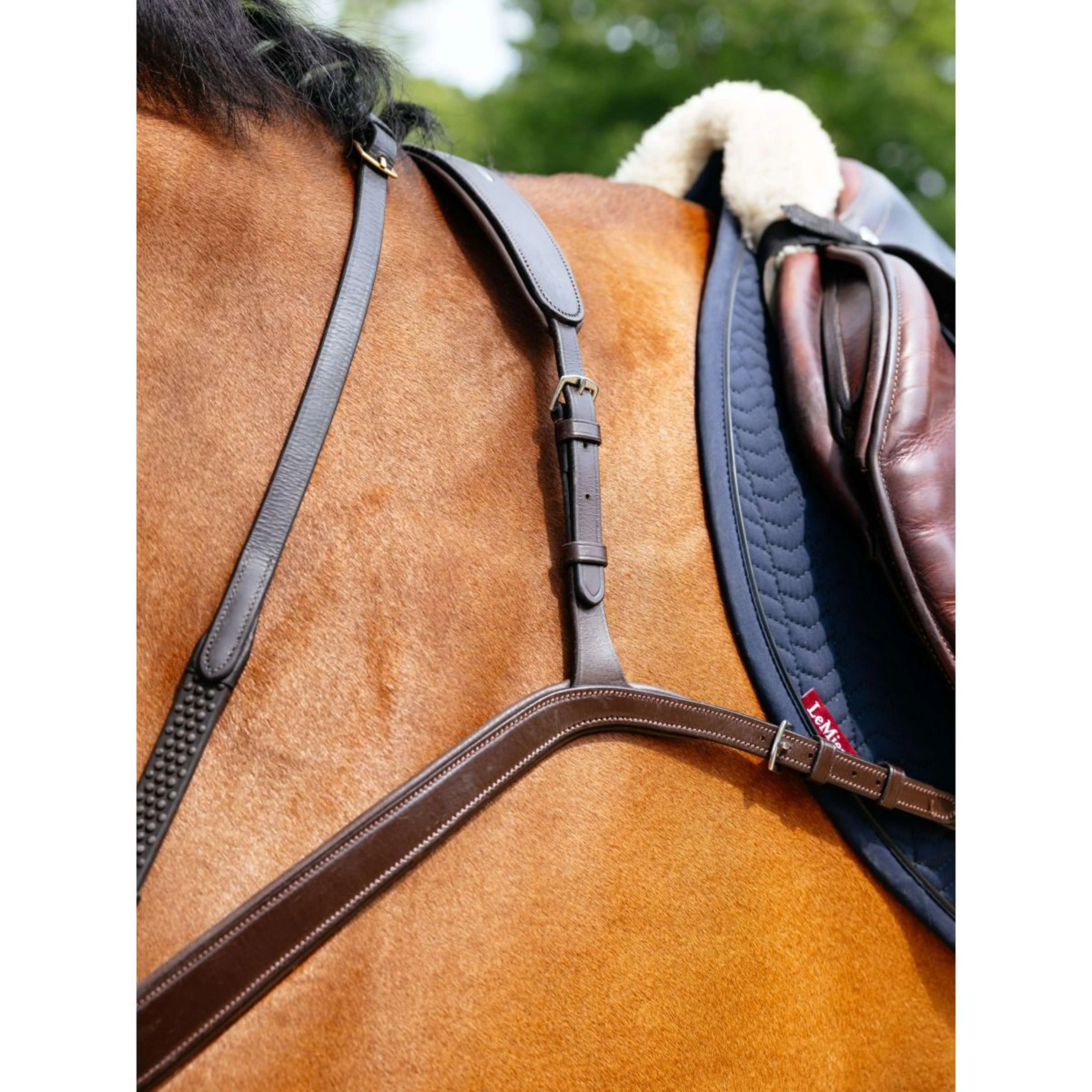 LeMieux Collier de Chasse Kudos Bridge Havane - Image 3