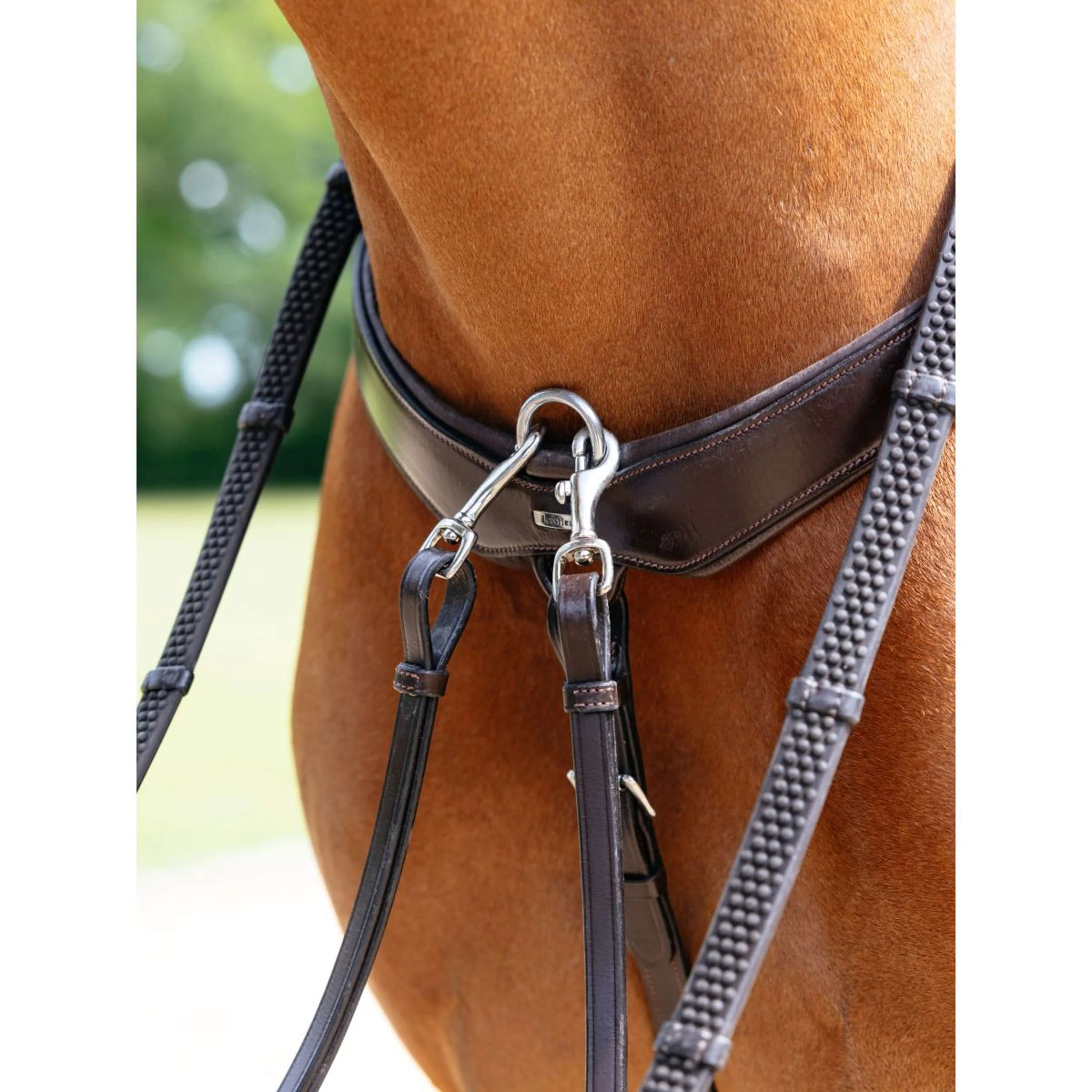 LeMieux Collier de Chasse Kudos Bridge Havane - Image 4