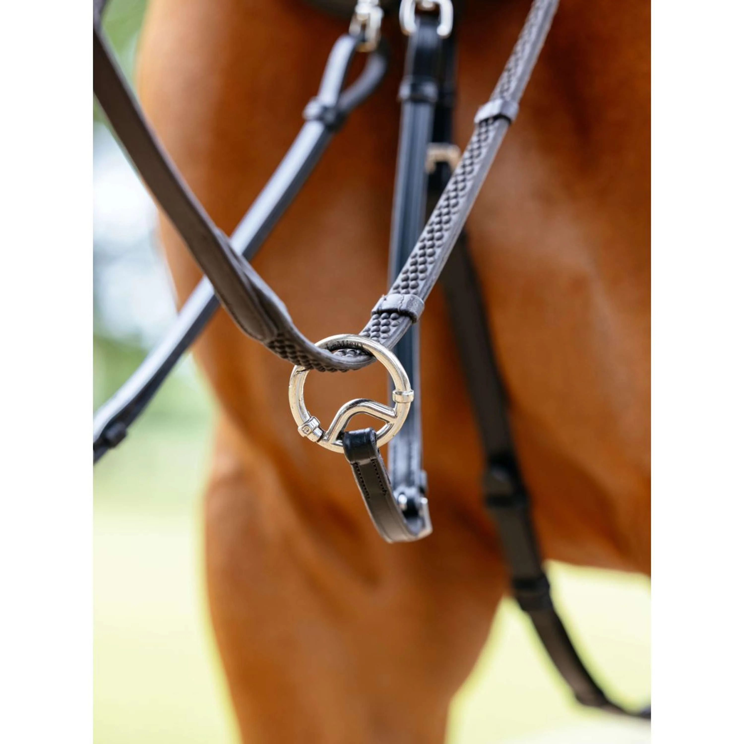 LeMieux Collier de Chasse Kudos Bridge Noir - Image 2