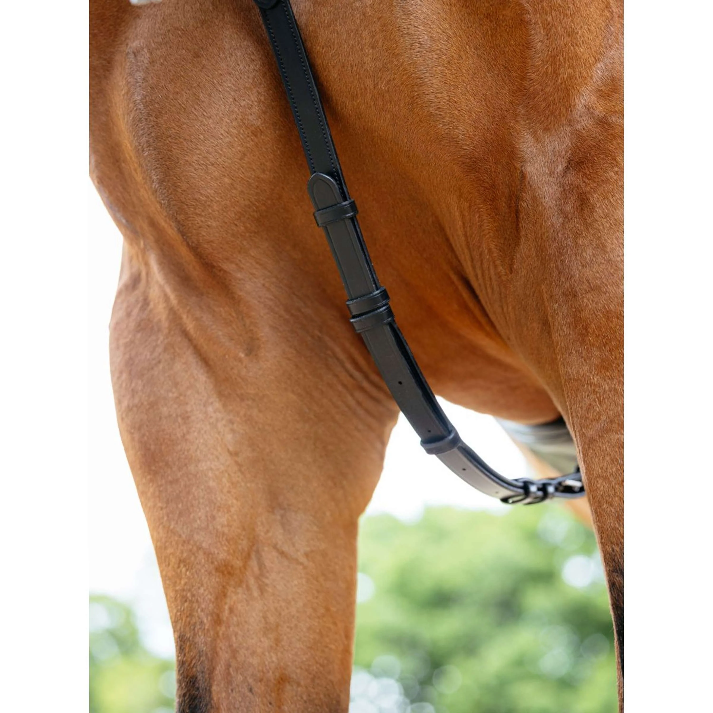 LeMieux Collier de Chasse Kudos Bridge Noir - Image 3