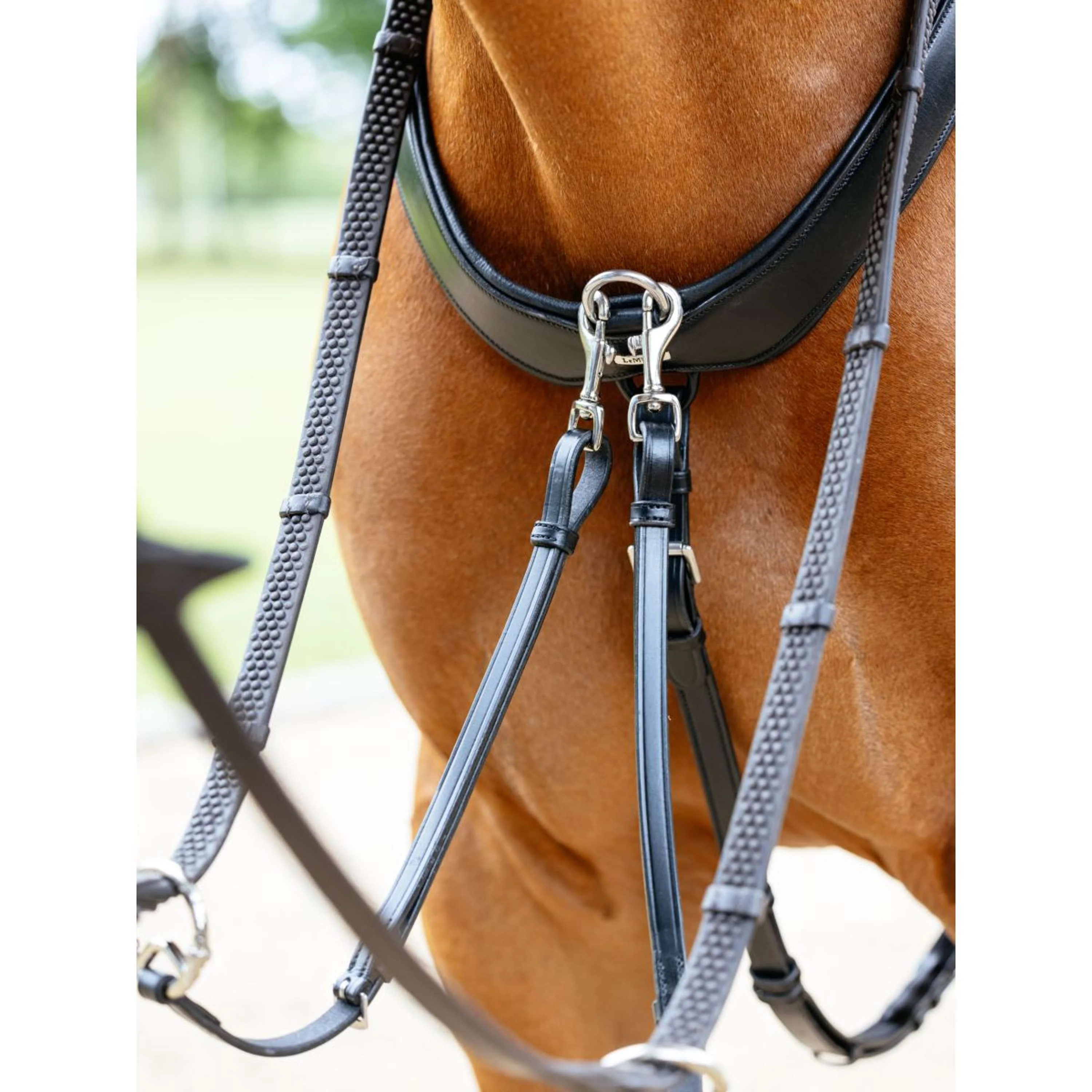 LeMieux Collier de Chasse Kudos Bridge Noir - Image 4