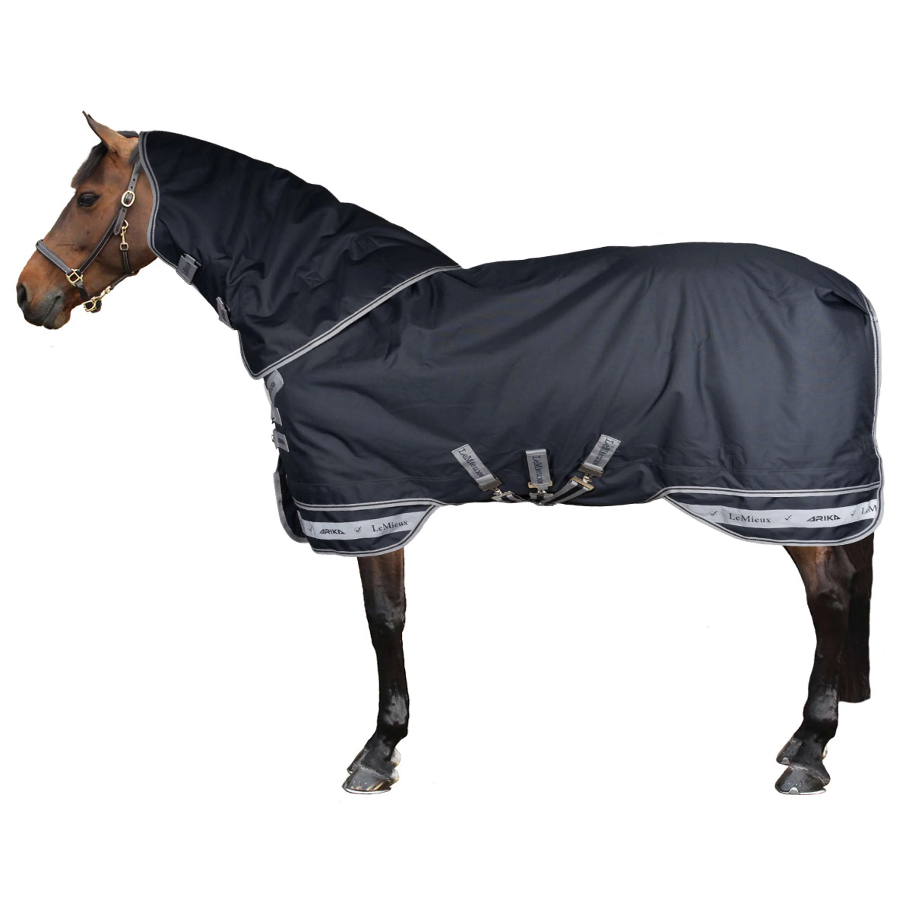 LeMieux Couverture Arika Storm-Tek 2 Turnout 100g Marin - Image 2