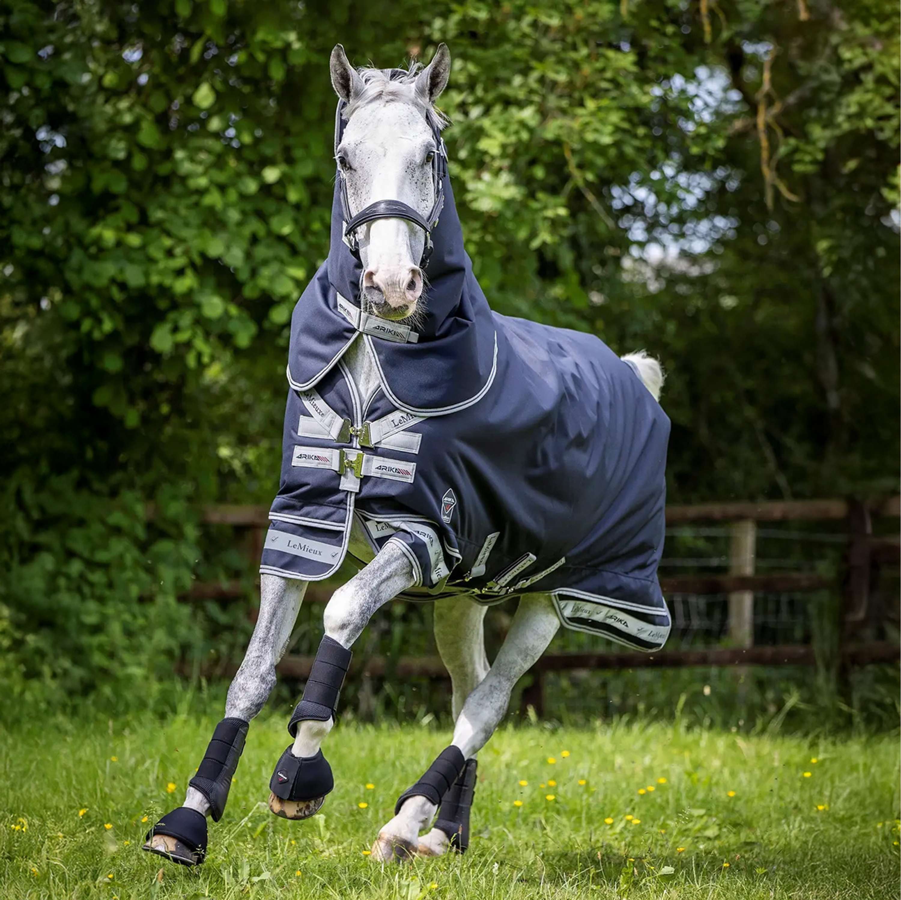 LeMieux Couverture Arika Storm-Tek Turnout 100g Marin - Image 4