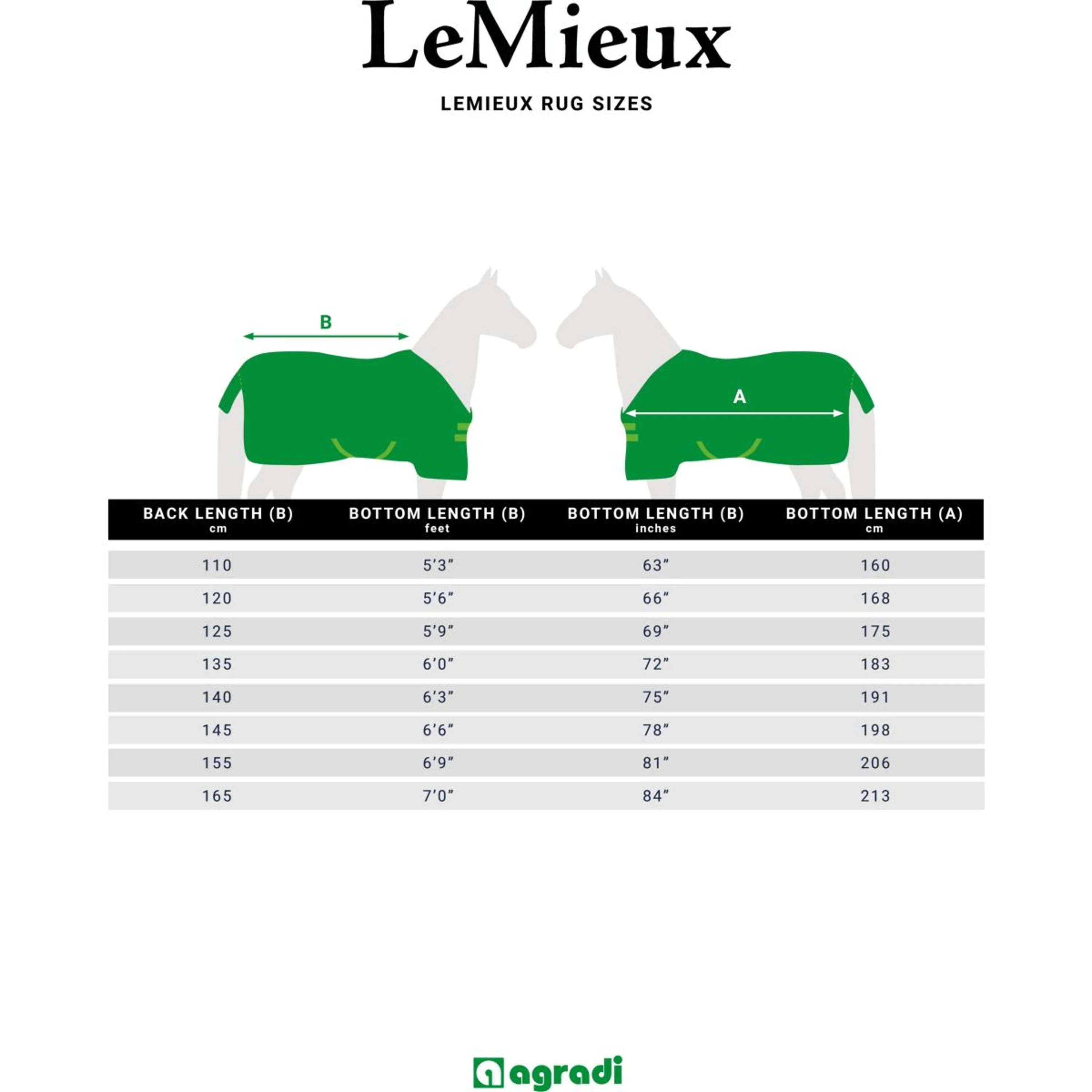 LeMieux Couverture Kudos Turnout 350g Marin - Image 3