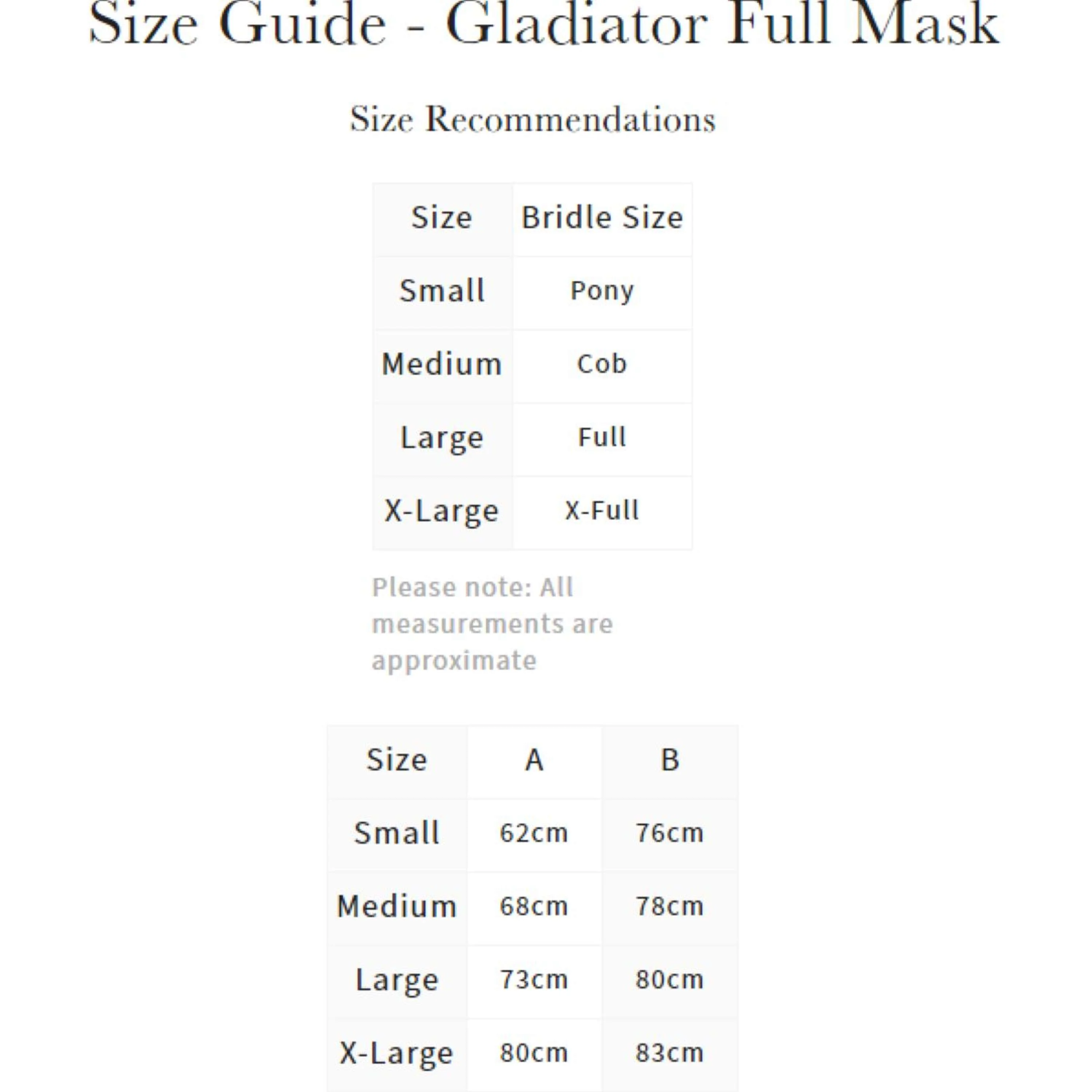 LeMieux Filet Anti-Mouches Gladiator Full Gris - Image 2