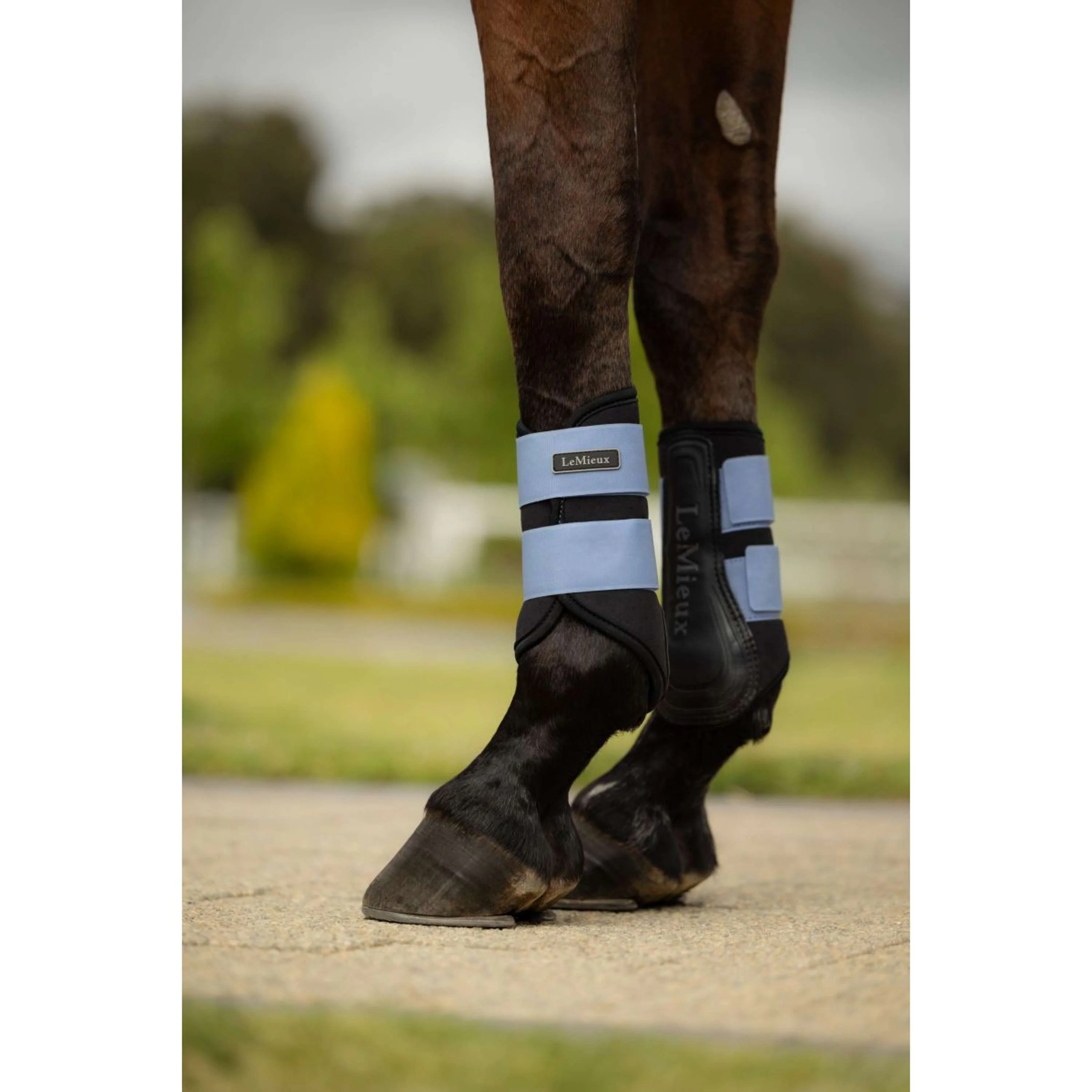 LeMieux Guêtres Air-Tek Grafter Powder Blue - Image 2