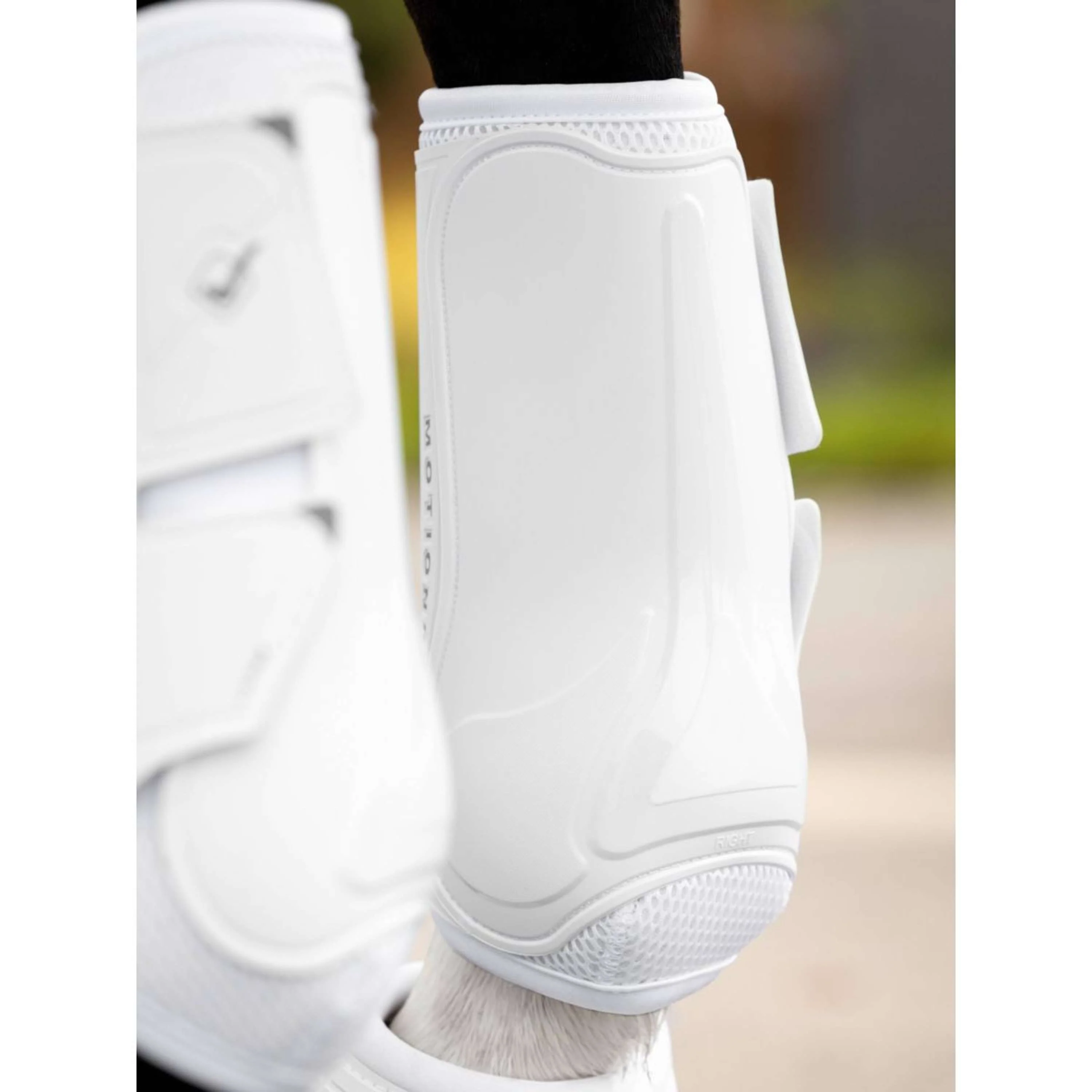 LeMieux Guêtres Motionflex Blanc - Image 5