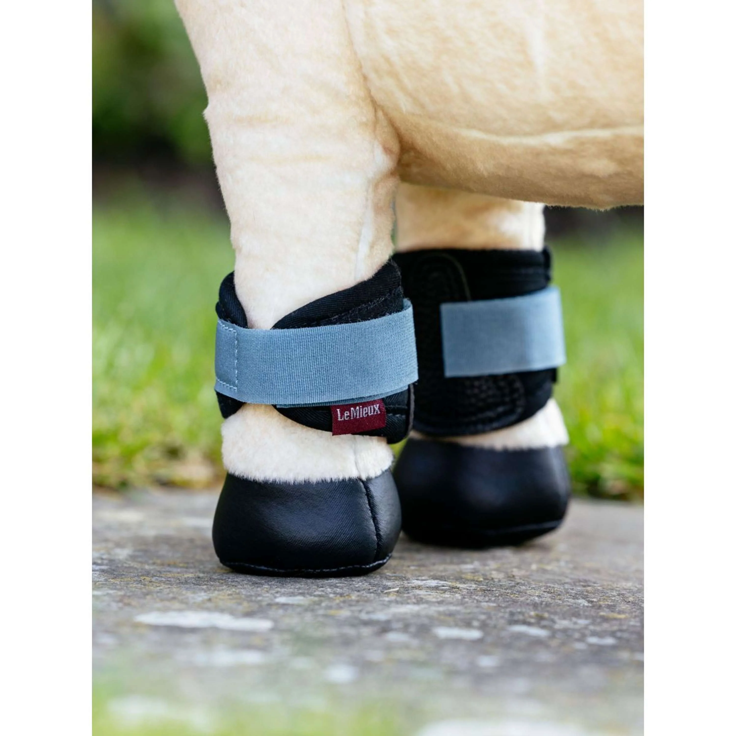 LeMieux Guêtres Toy Pony Ice Blue - Image 2