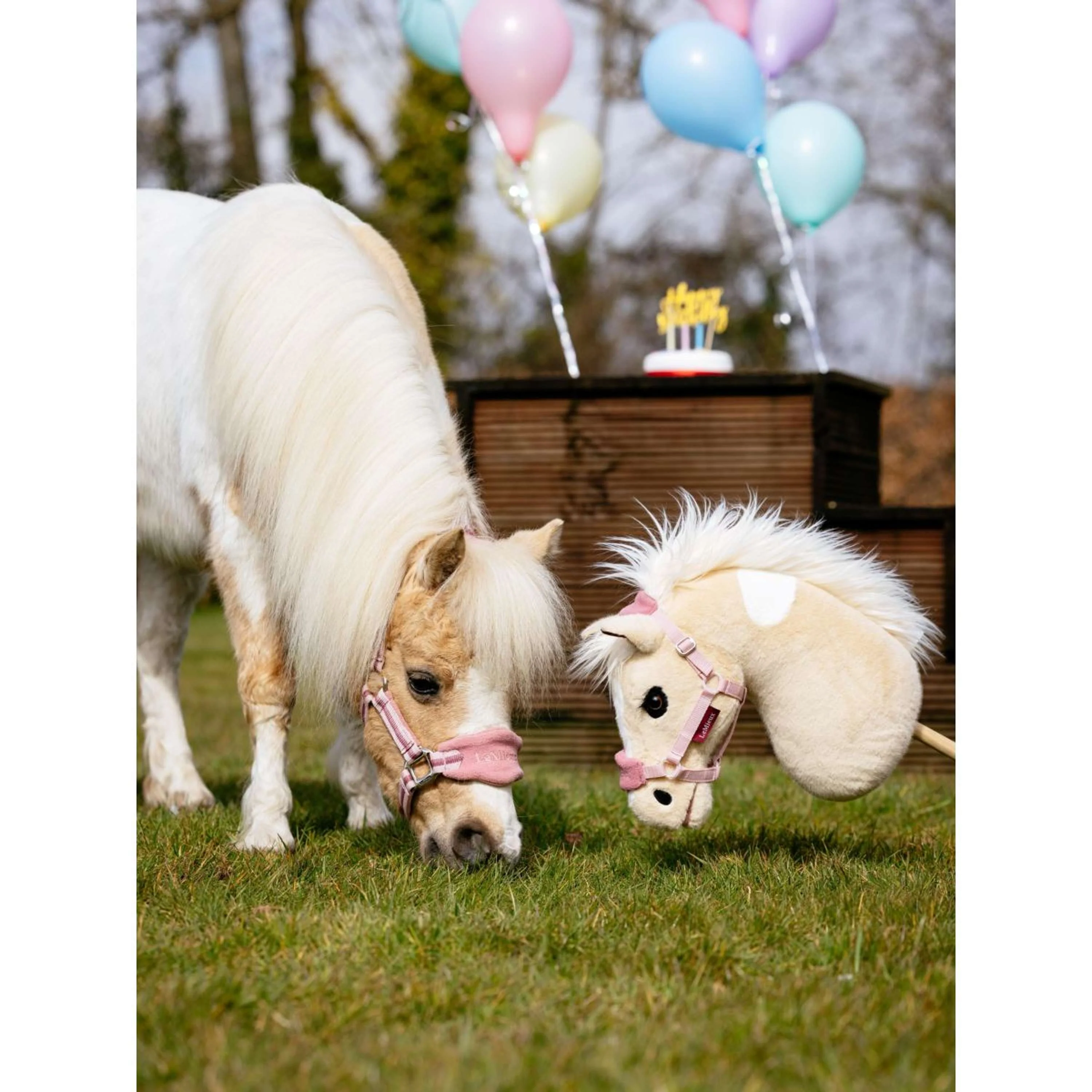 LeMieux Hobby Horse Lemon Citron - Image 3