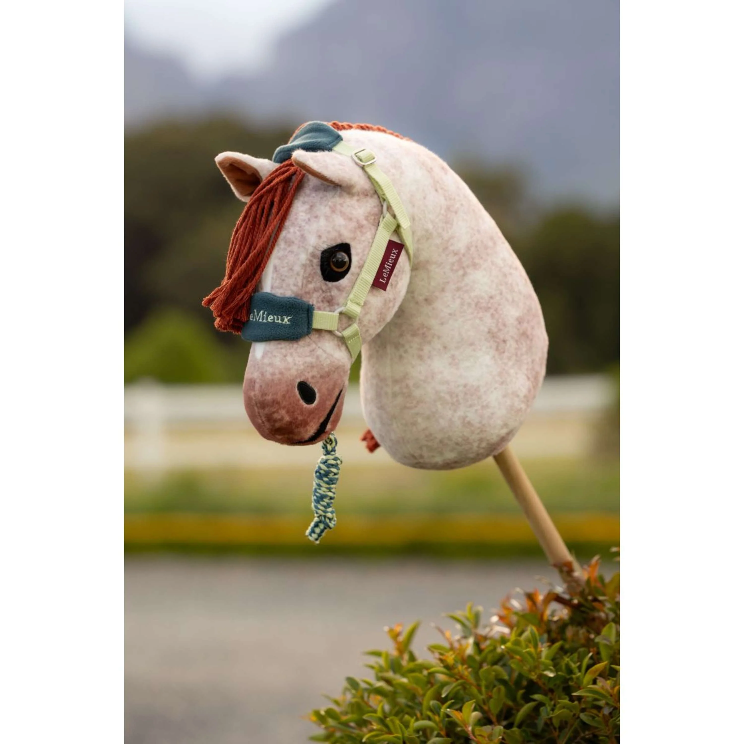 LeMieux Hobby Horse Vogue Licol Macaron - Image 2