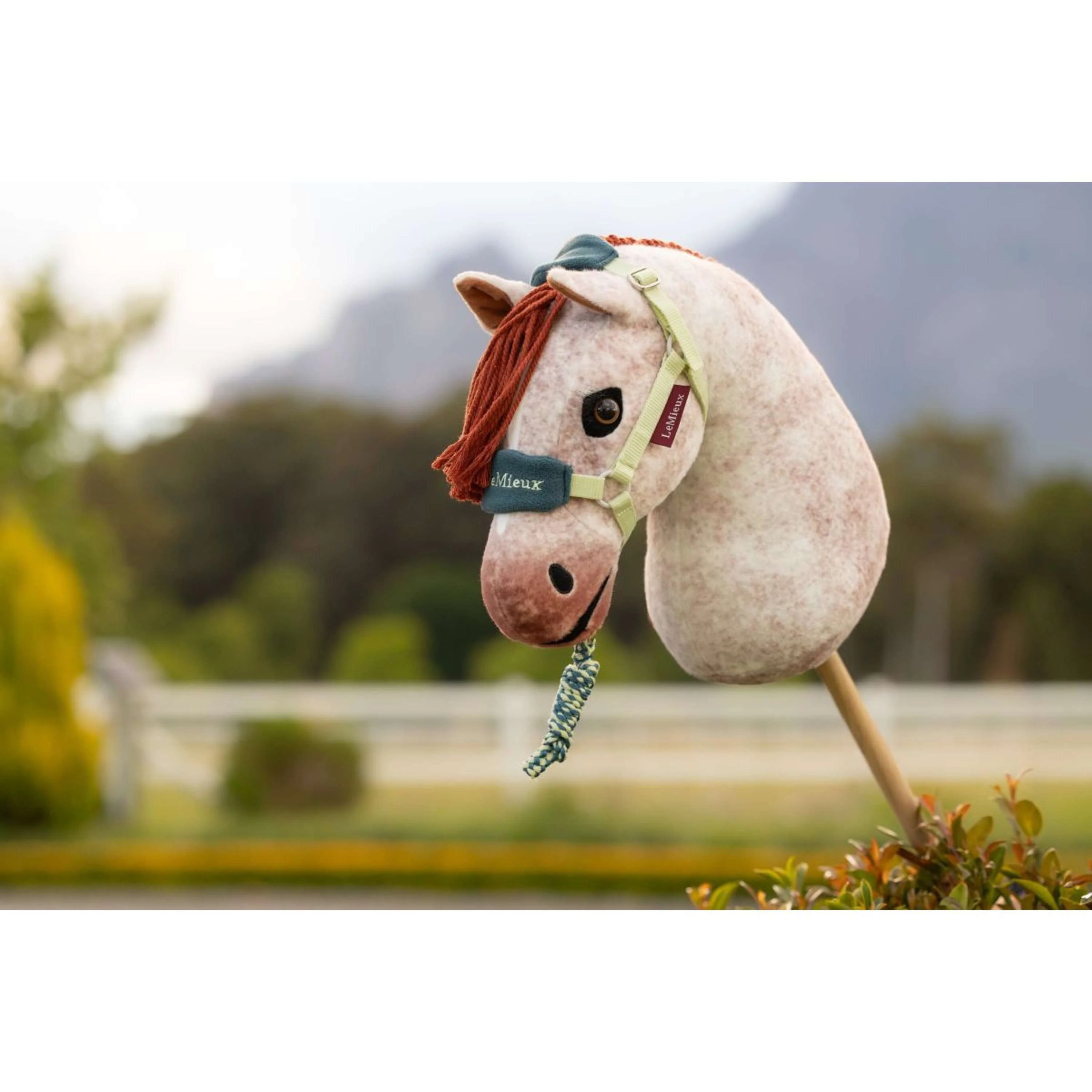 LeMieux Hobby Horse Vogue Licol Macaron - Image 3