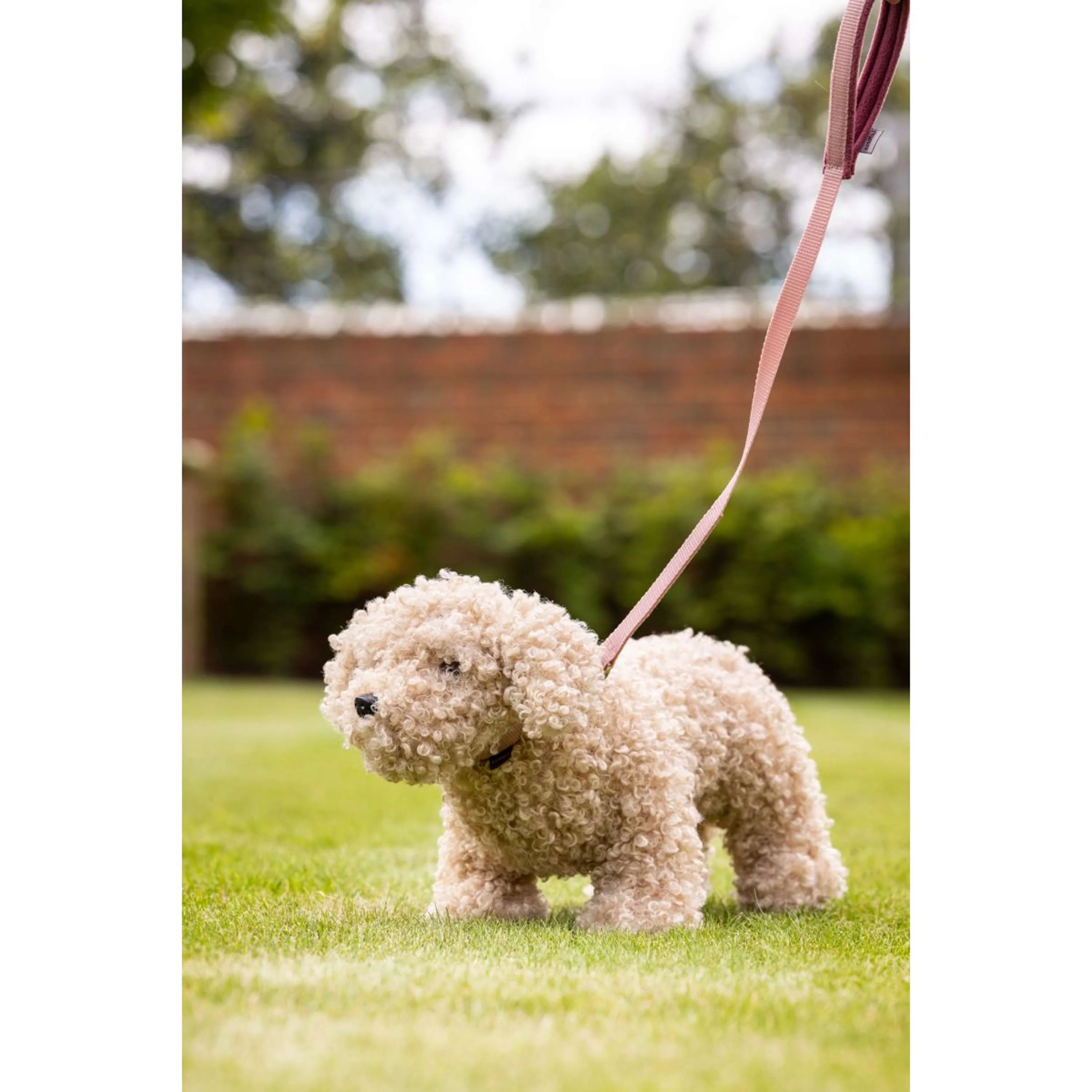LeMieux Toy Dog Cockapoo Beige - Image 2