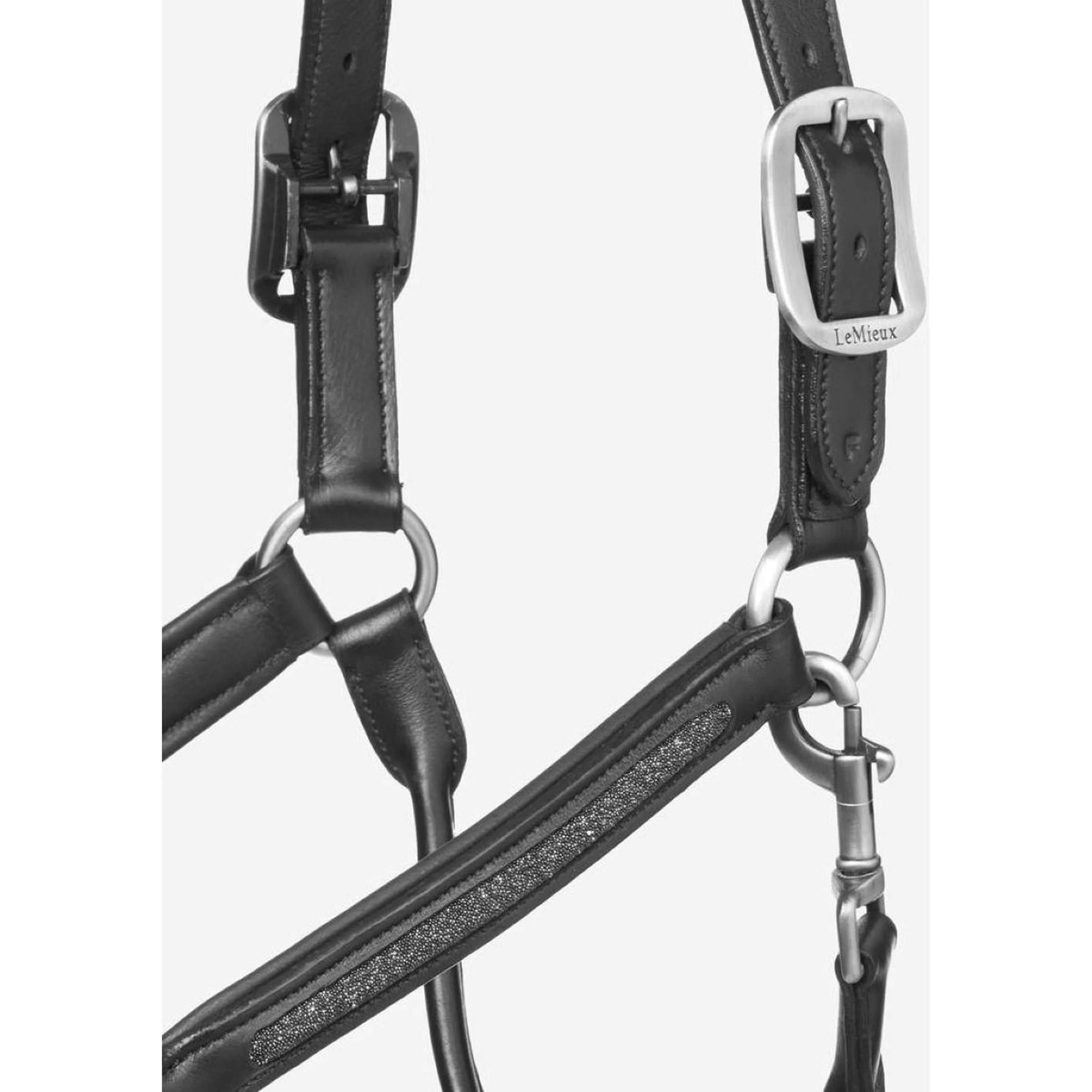 LeMieux Licol en Cuir Crystal Noir - Image 2