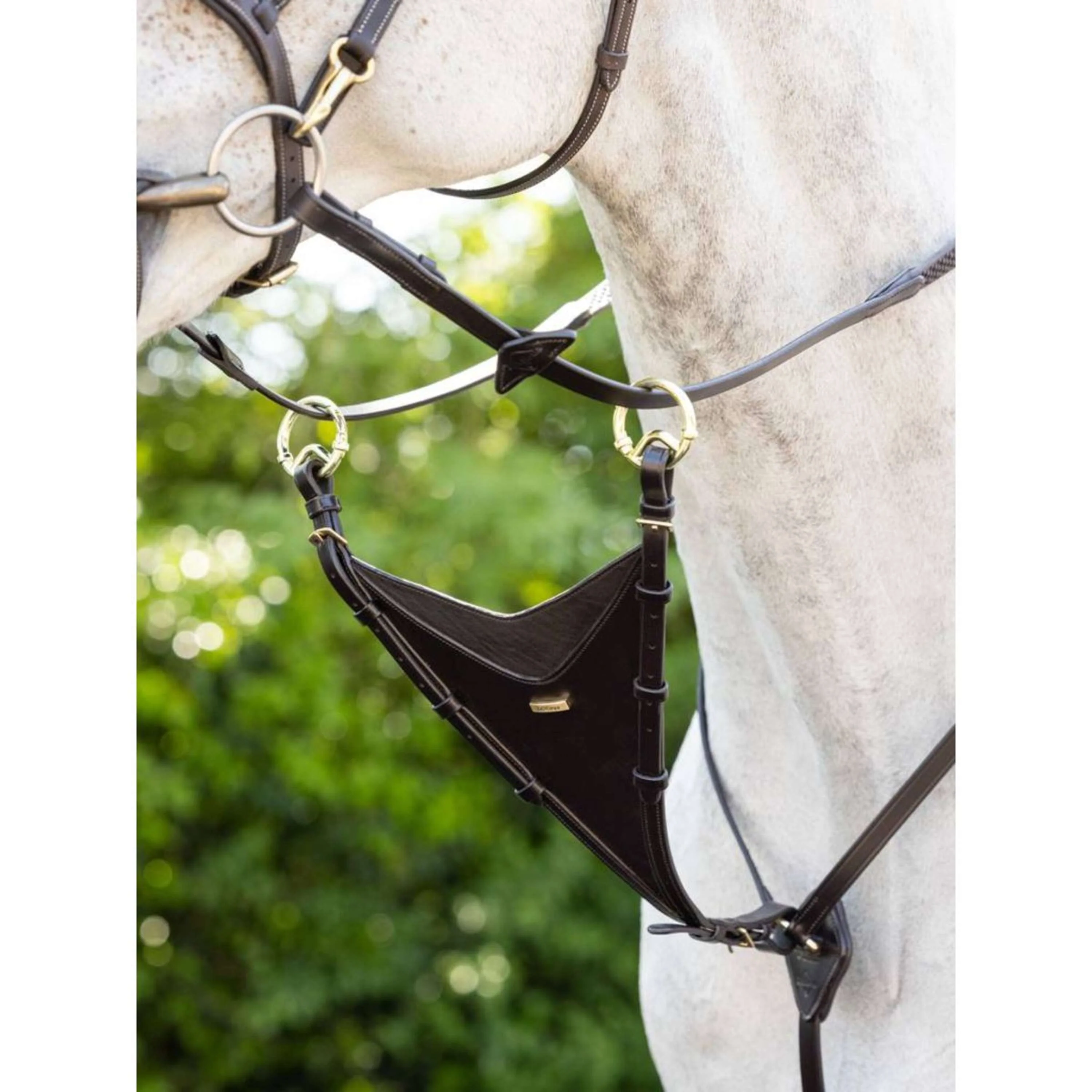 LeMieux Martingale à Fourche Fermée Kudos Marron/Laiton - Image 2