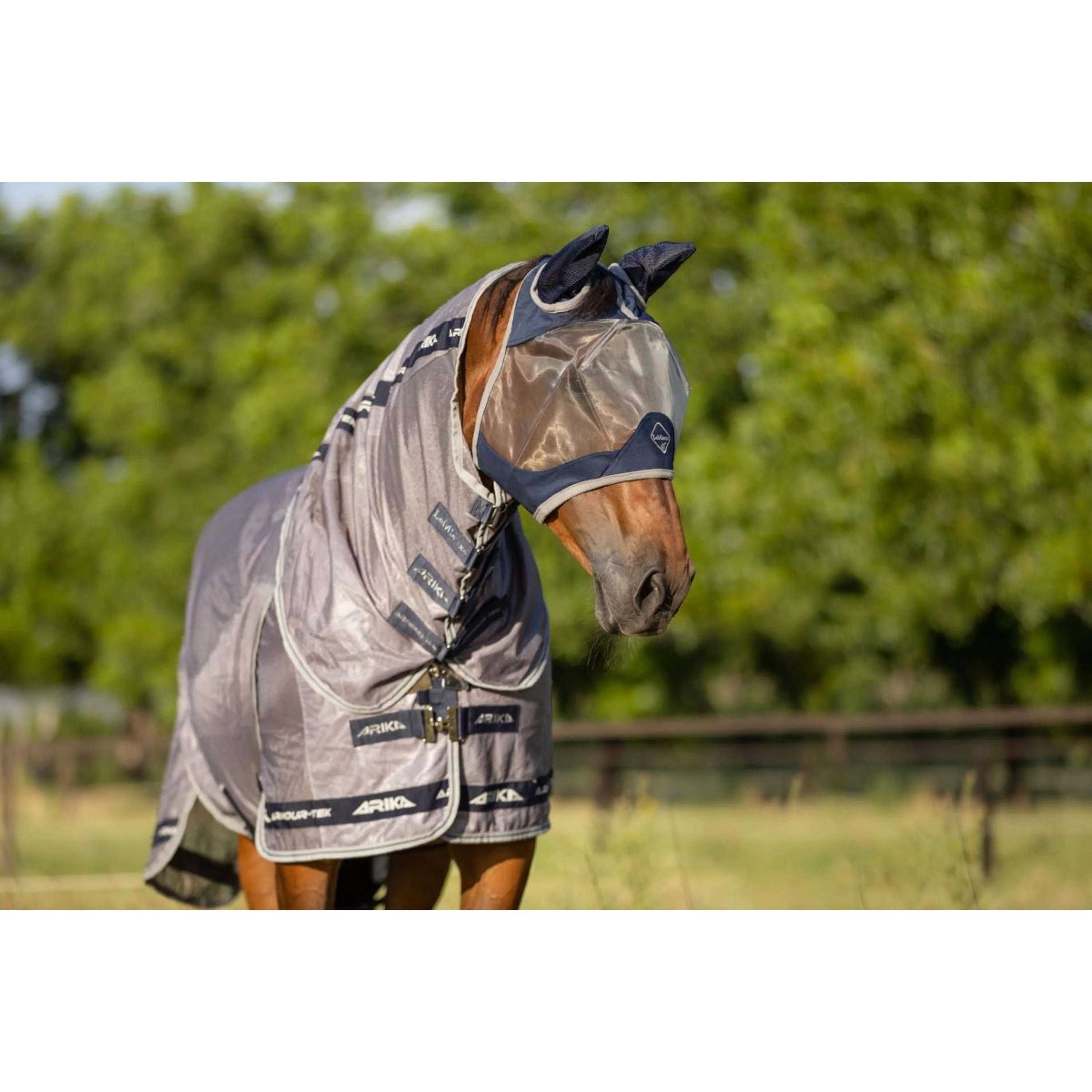 LeMieux Masque Anti-Mouches Amour Shield Pro avec Oreilles Marin - Image 7