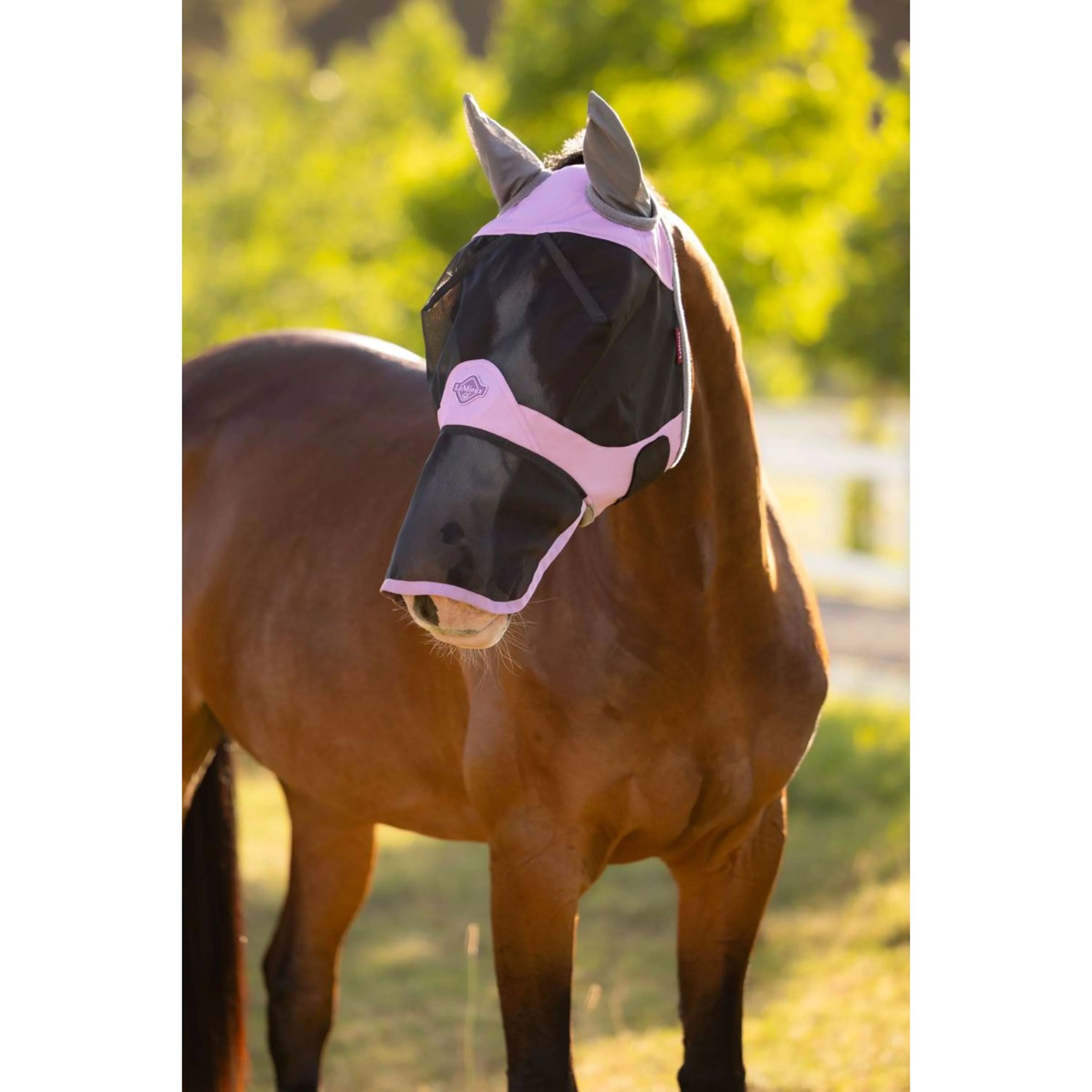 LeMieux Masque Anti-Mouches Visor-Tek Avec Filet Nez Fondant - Image 3