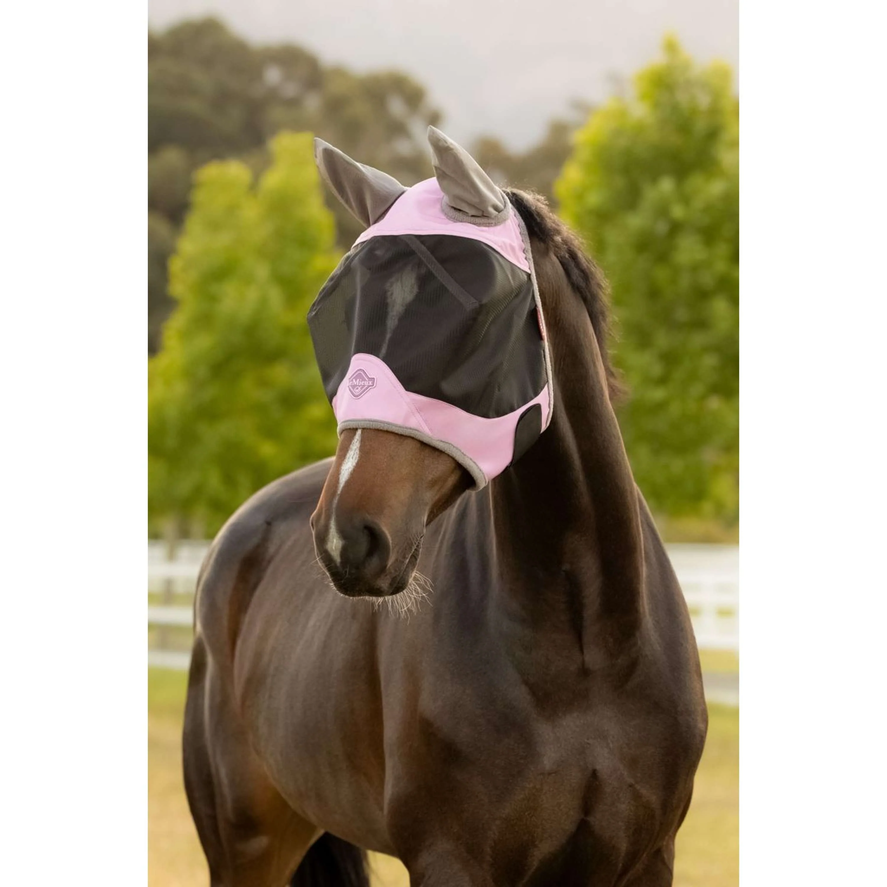 LeMieux Masque Anti-Mouches Visor-Tek Fondant - Image 4