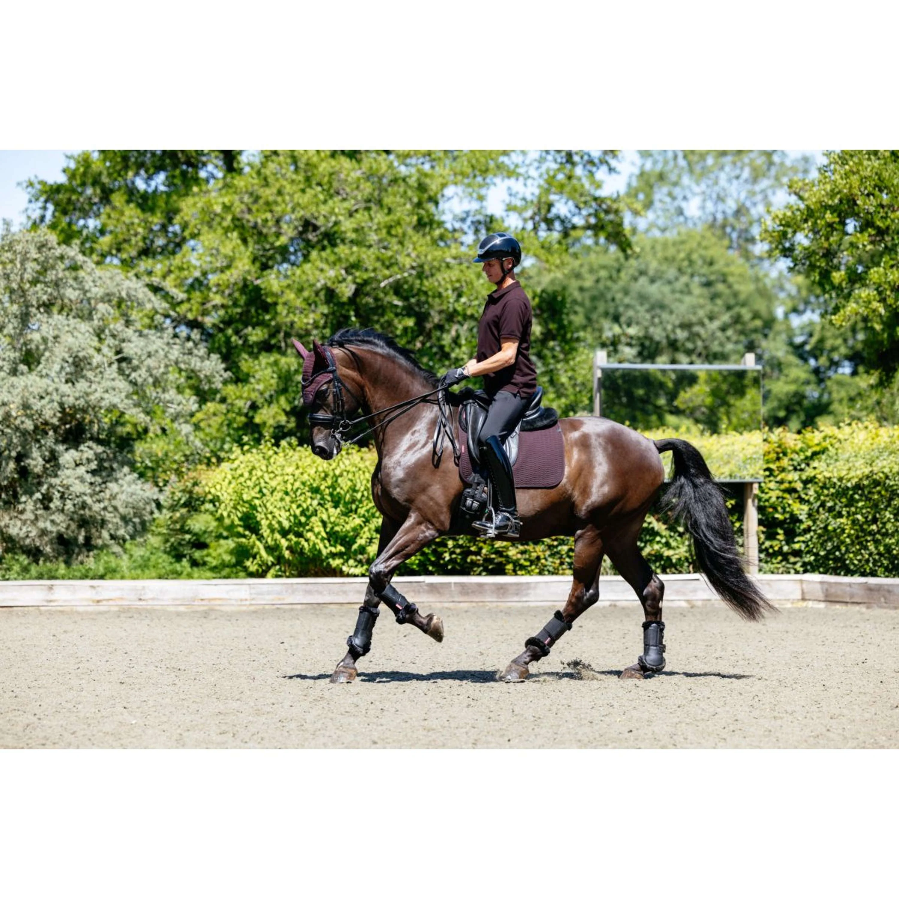LeMieux Polo Classique Hommes Damson - Image 8