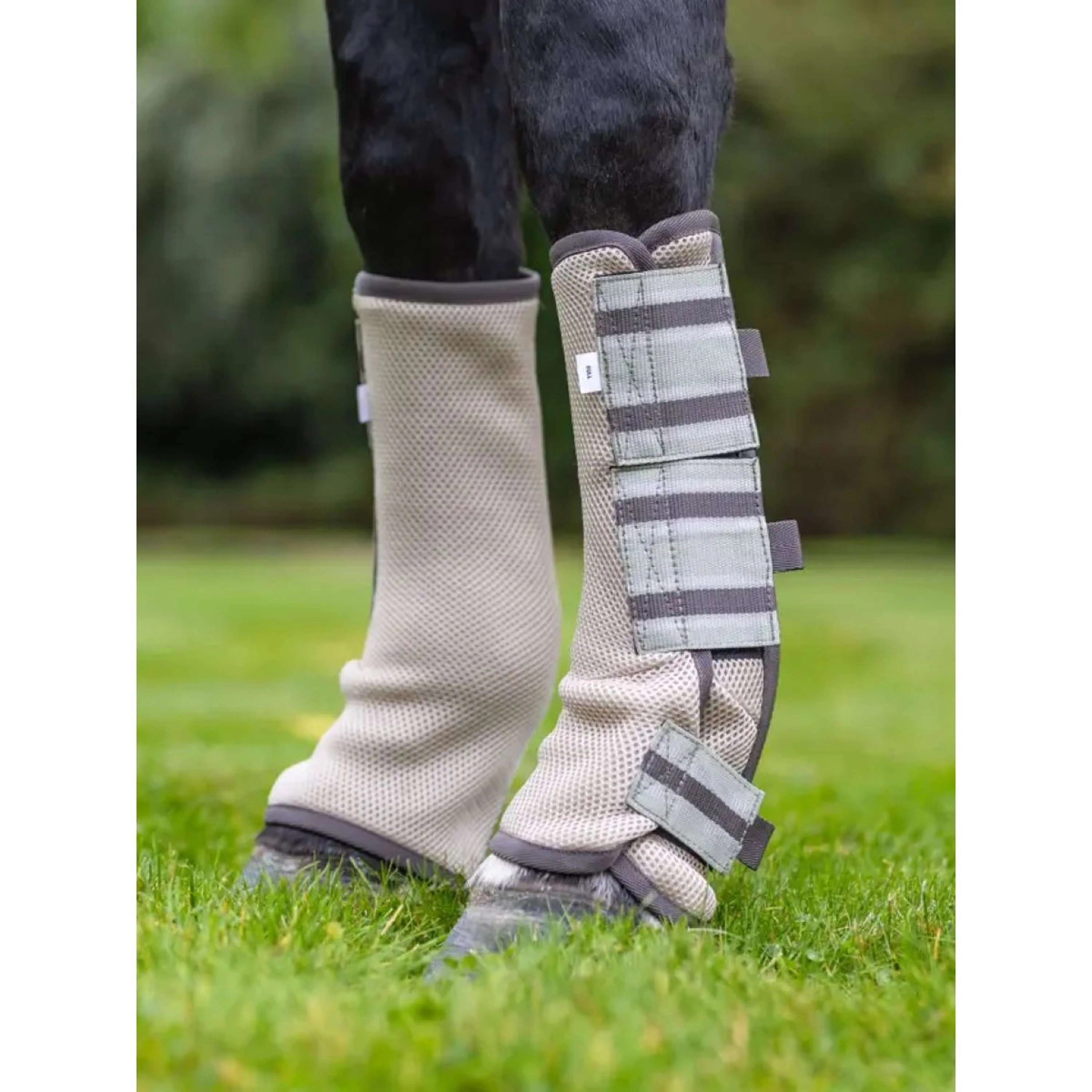 LeMieux Protecteurs anti-mouches Mesh Arika Gris - Image 2