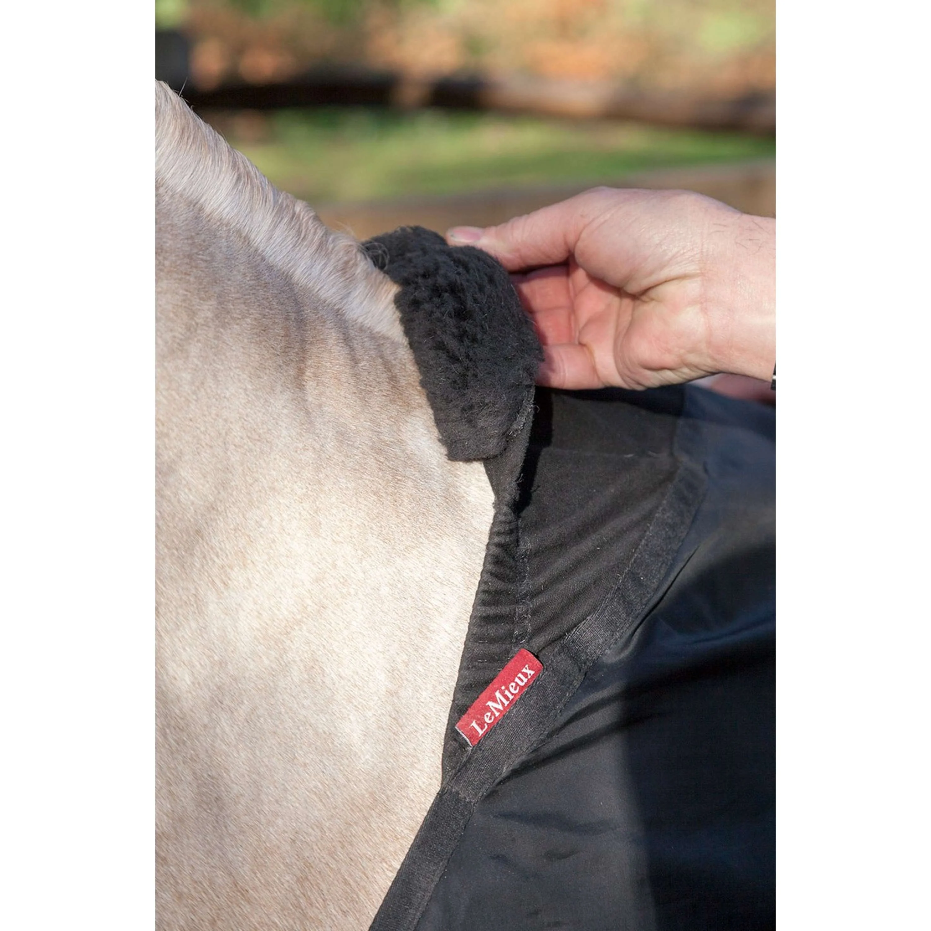 LeMieux Protection de Poitrail Bib Noir - Image 3