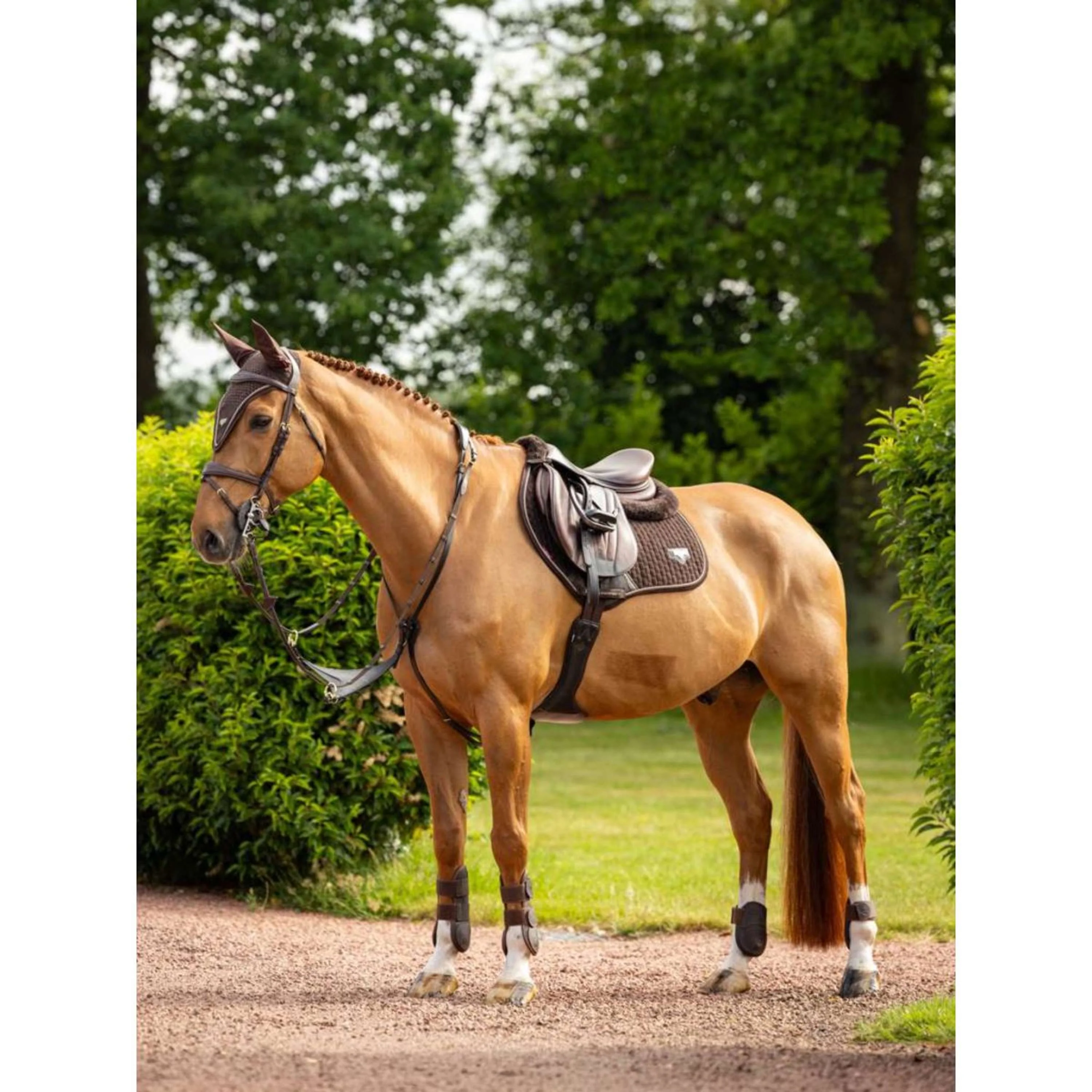 LeMieux Saut en tapis de selle Puissance Suede Marron - Image 3