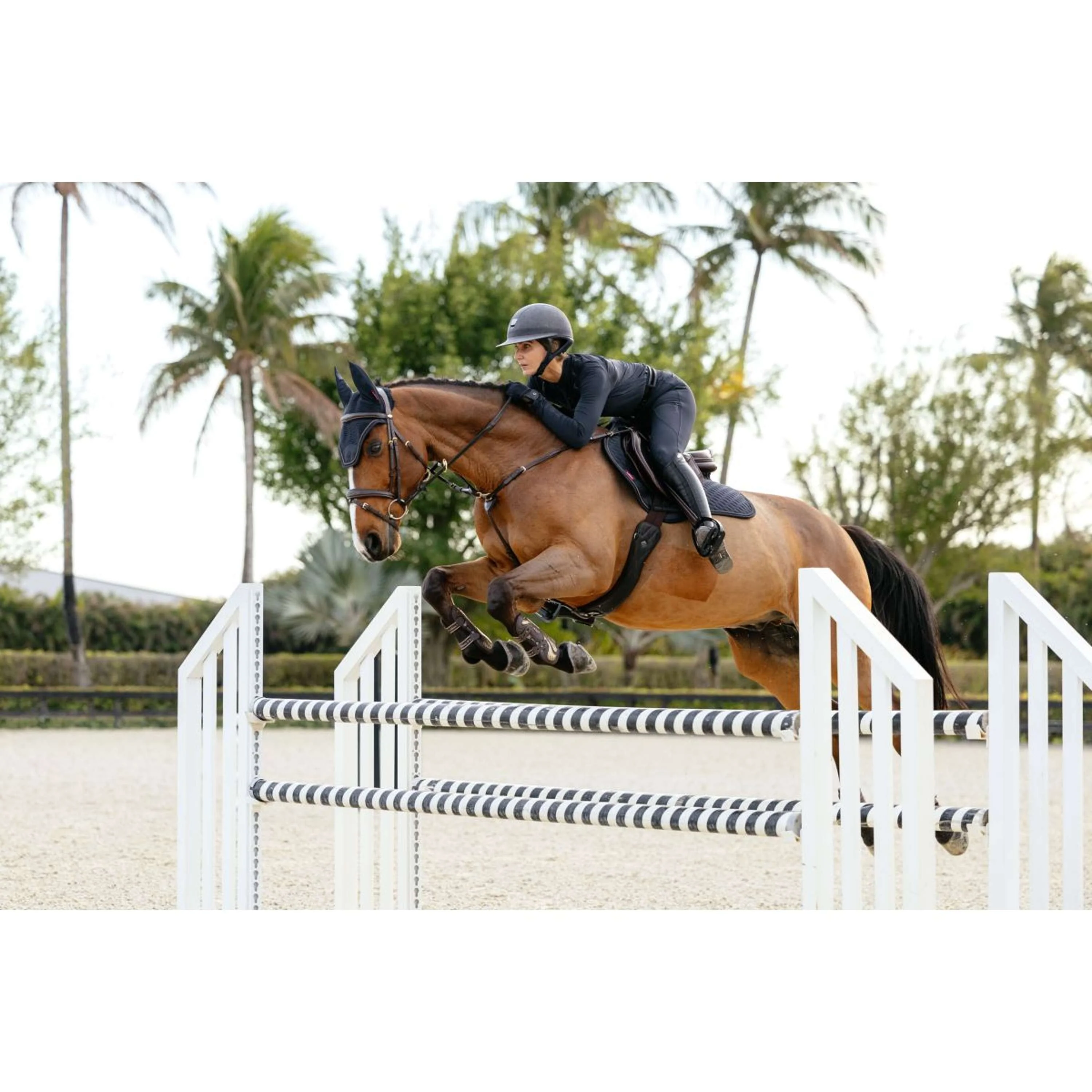 LeMieux Tapis de Selle Brilliance Close Contact Square de Saut Marin - Image 5
