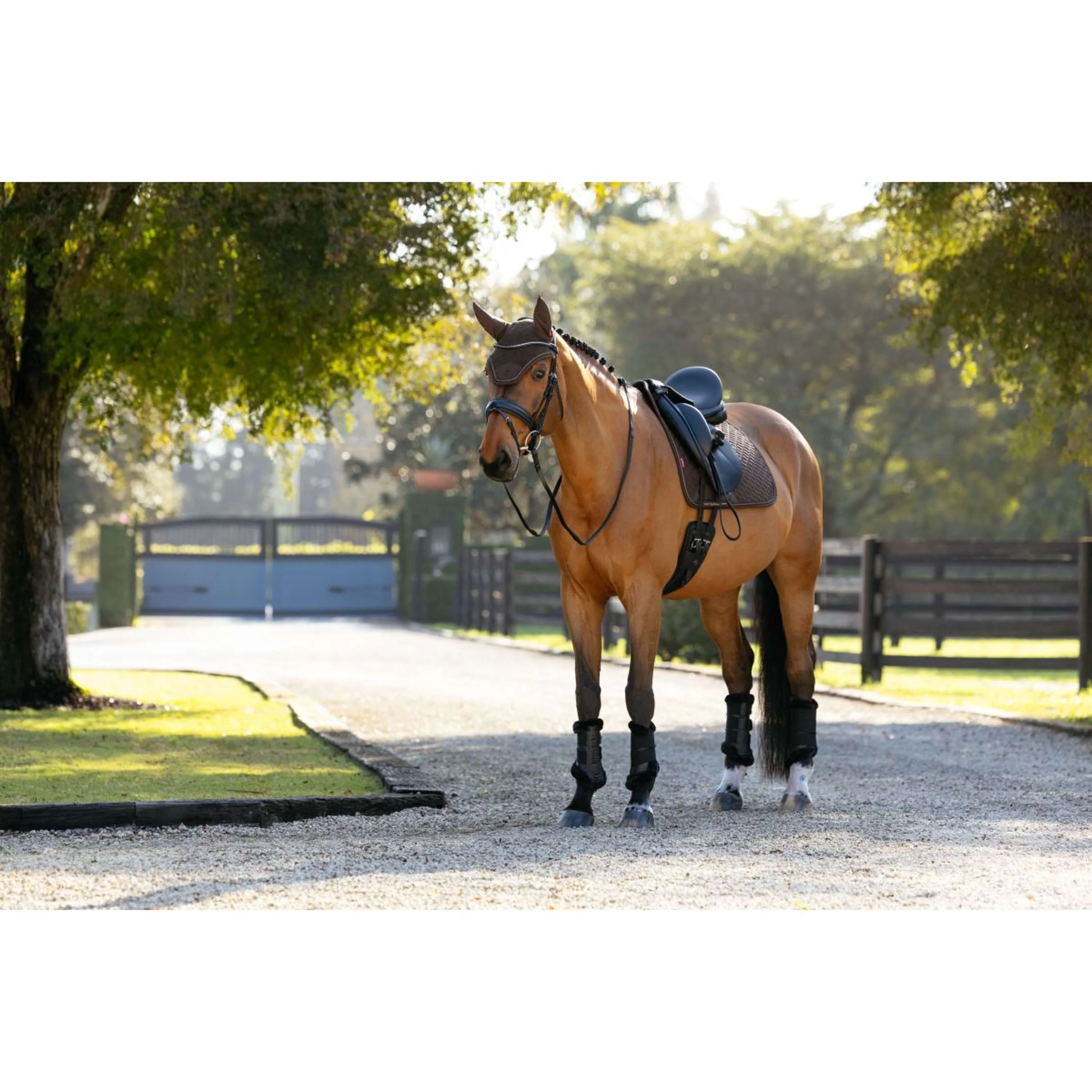 LeMieux Tapis de Selle Brilliance Dressage Espresso - Image 5