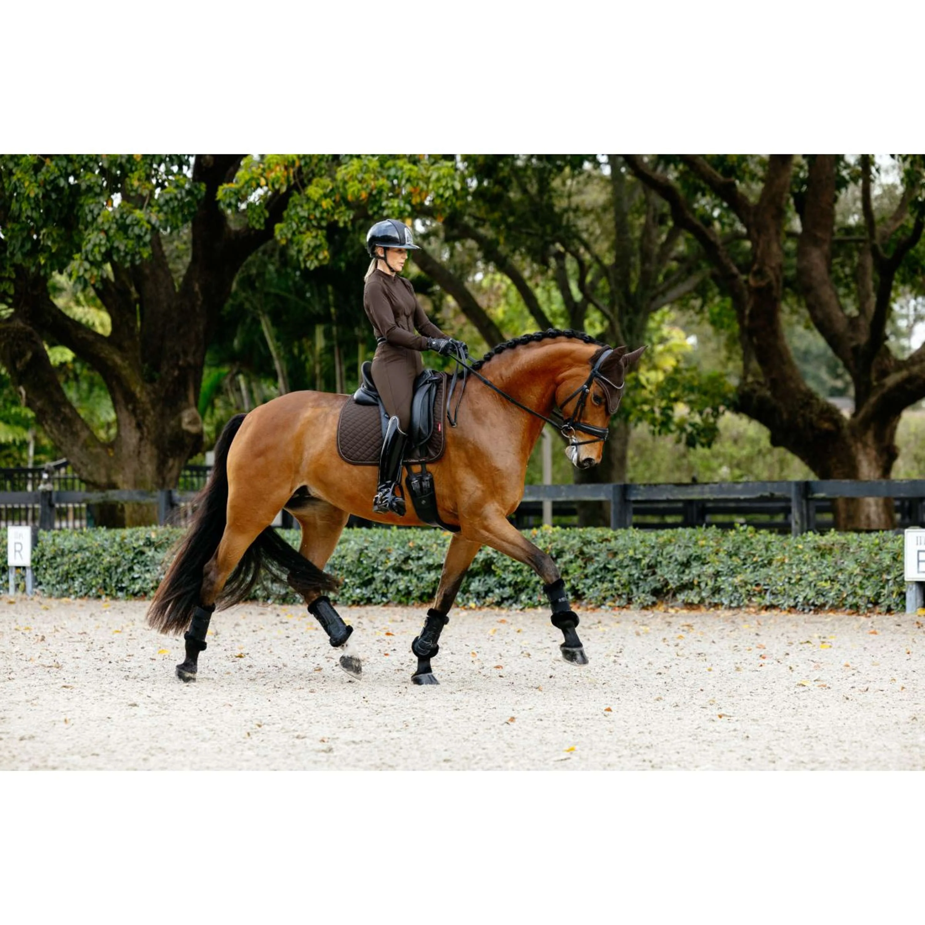 LeMieux Tapis de Selle Brilliance Dressage Espresso - Image 7
