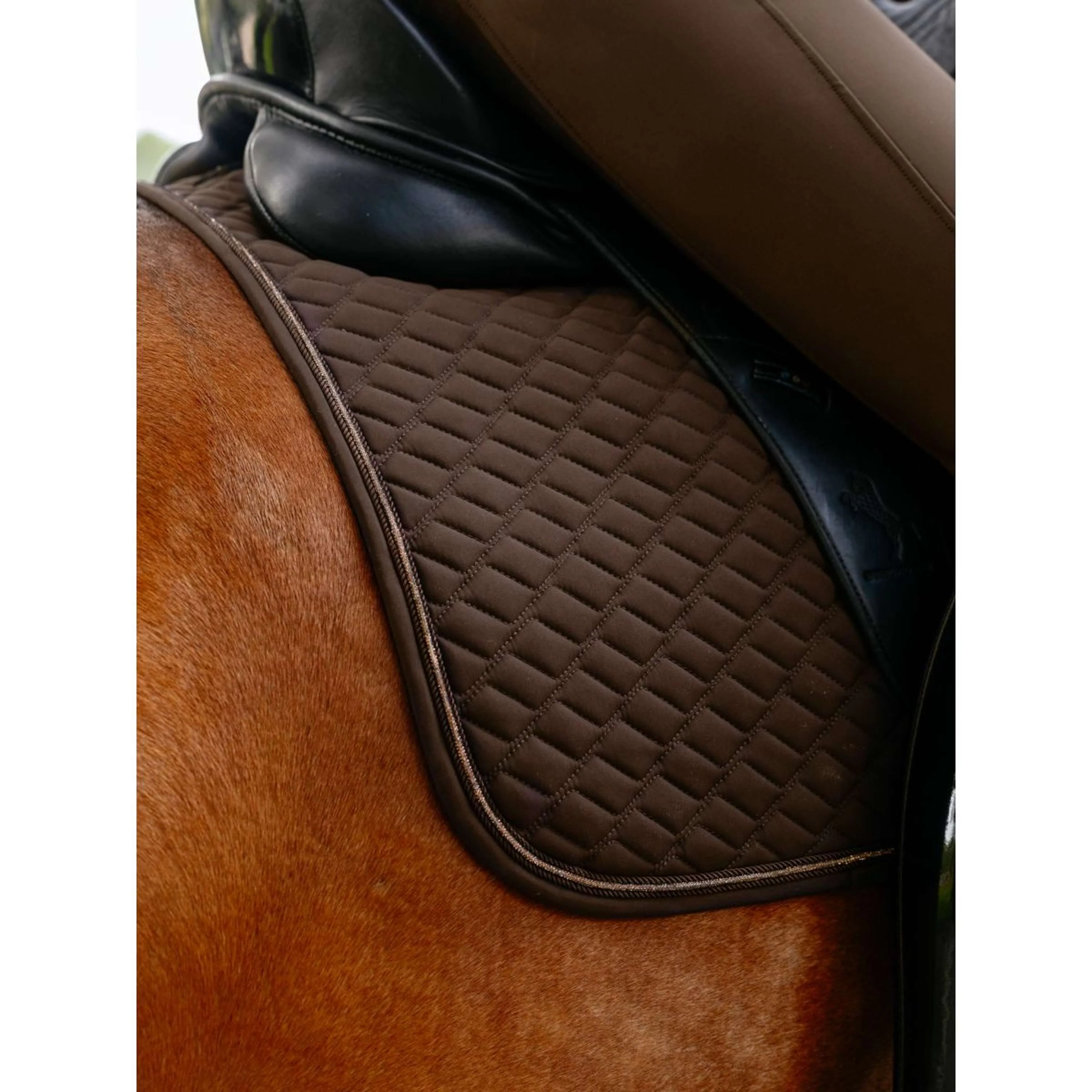 LeMieux Tapis de Selle Brilliance Dressage Espresso - Image 9