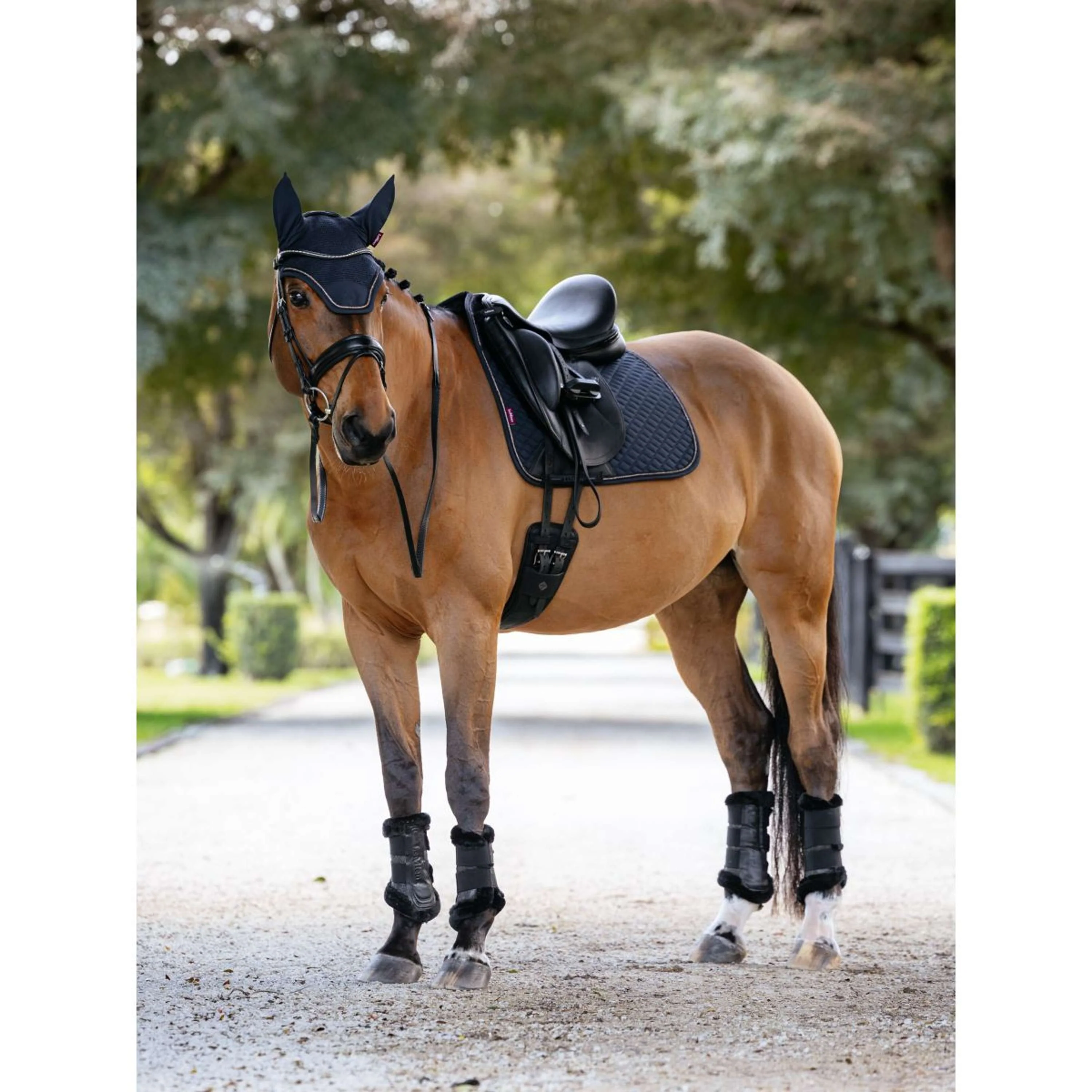 LeMieux Tapis de Selle Brilliance Dressage Marin - Image 2