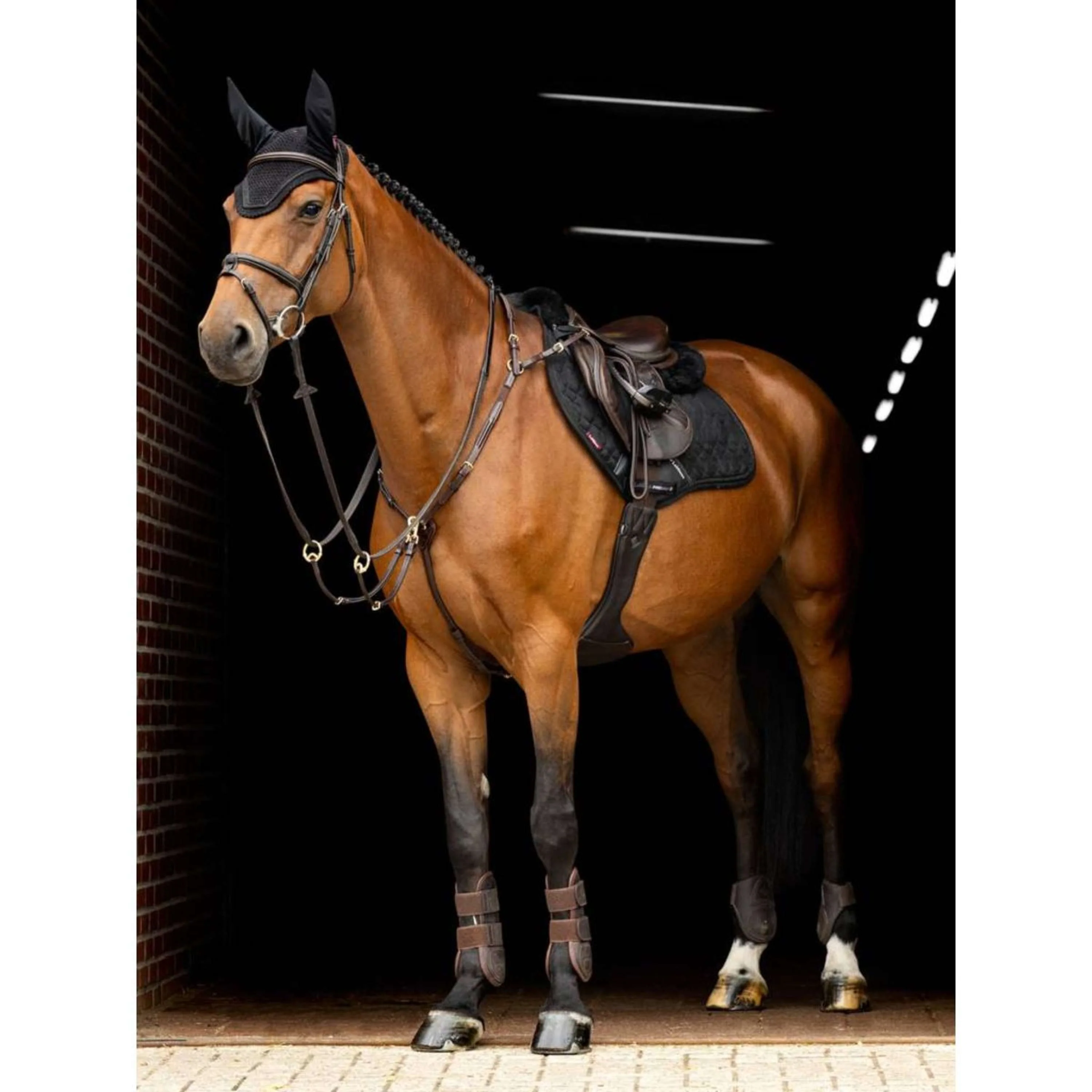 LeMieux Tapis de Selle Crystal Suede Close Contact Noir - Image 4
