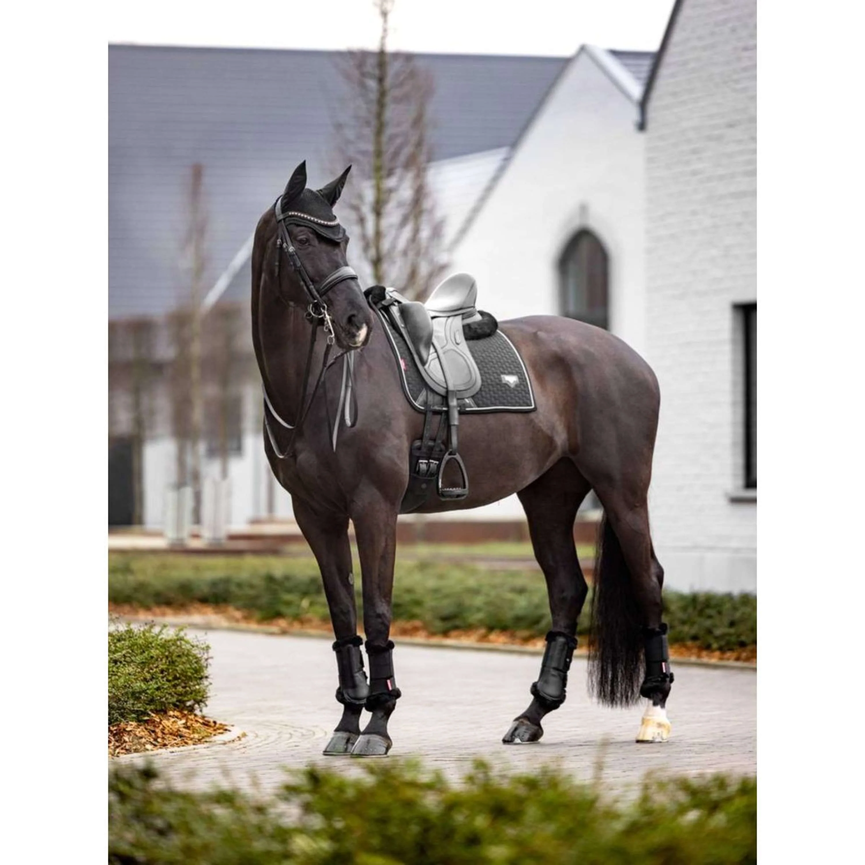 LeMieux Tapis de Selle de Dressage Puissance Suede Noir - Image 3