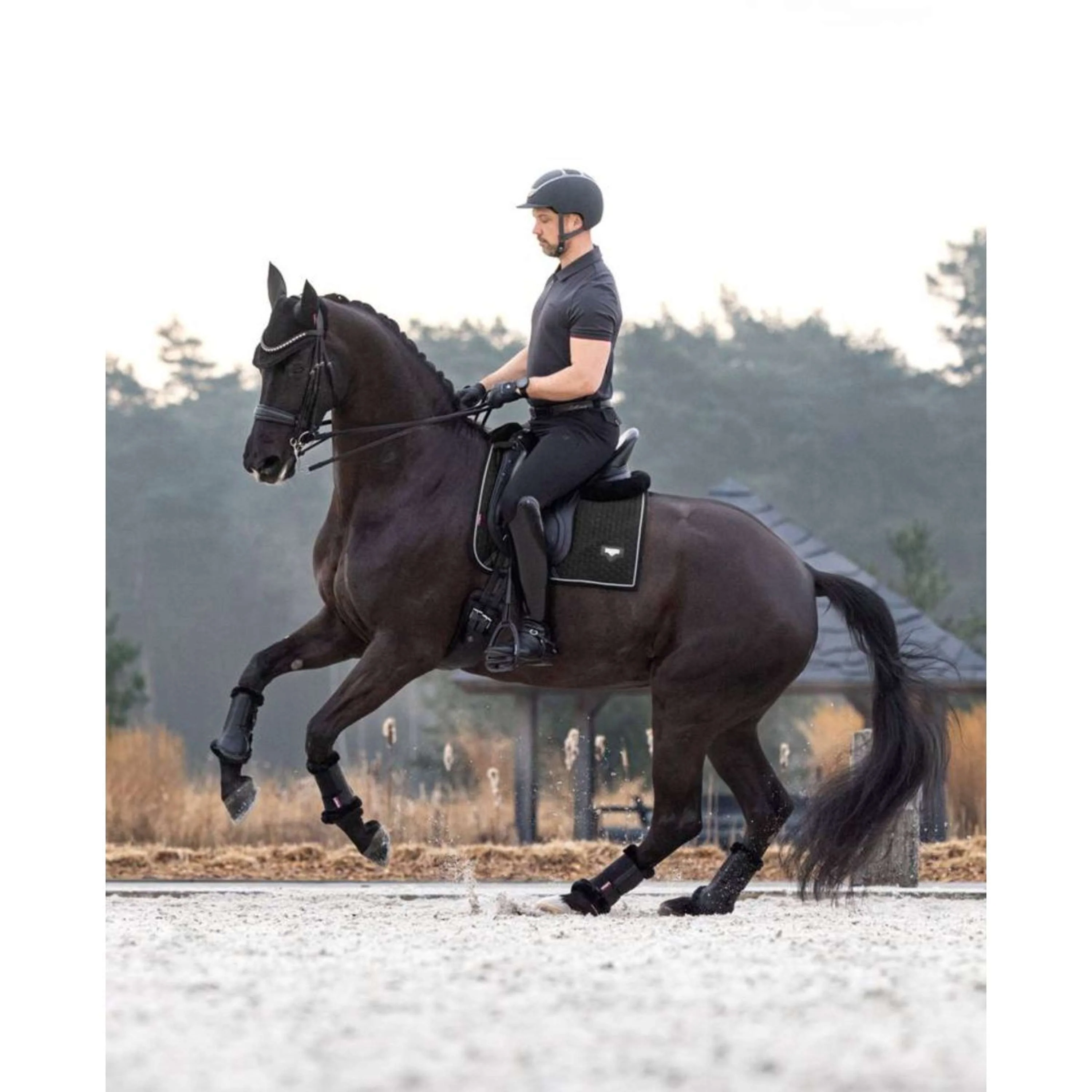 LeMieux Tapis de Selle de Dressage Puissance Suede Noir - Image 4