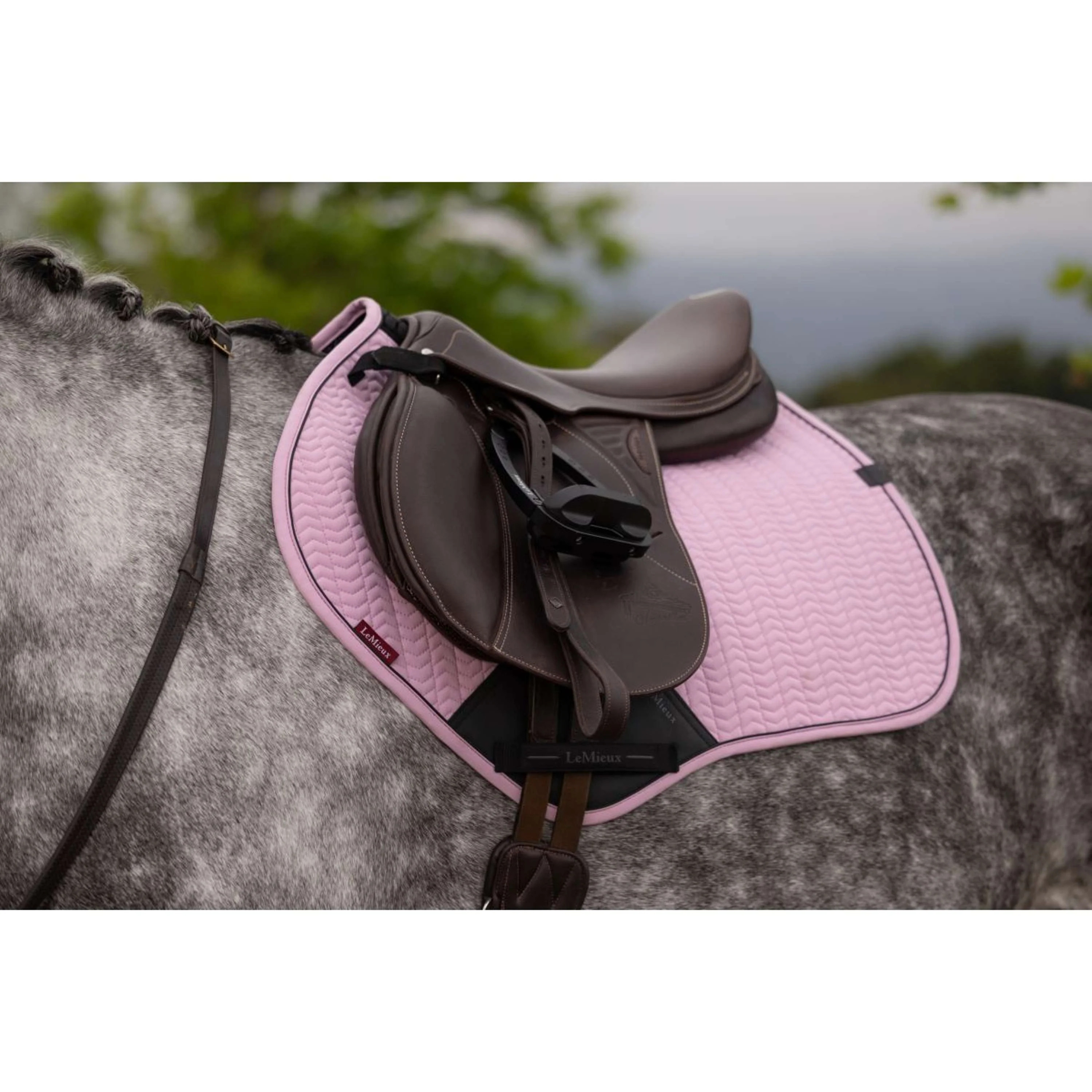 LeMieux Tapis de Selle Essence Close Contact Square de Saut Fondant - Image 12