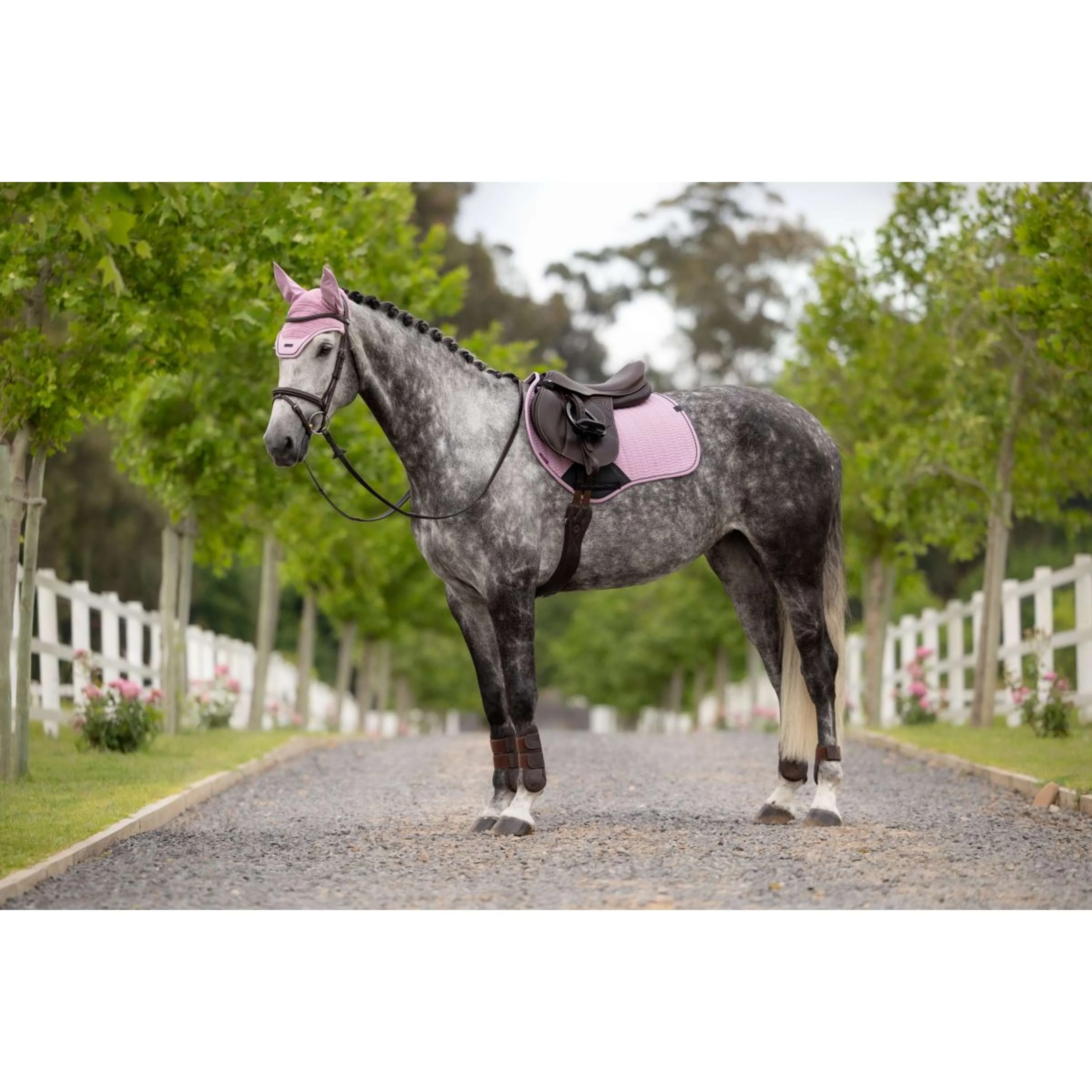 LeMieux Tapis de Selle Essence Close Contact Square de Saut Fondant - Image 7