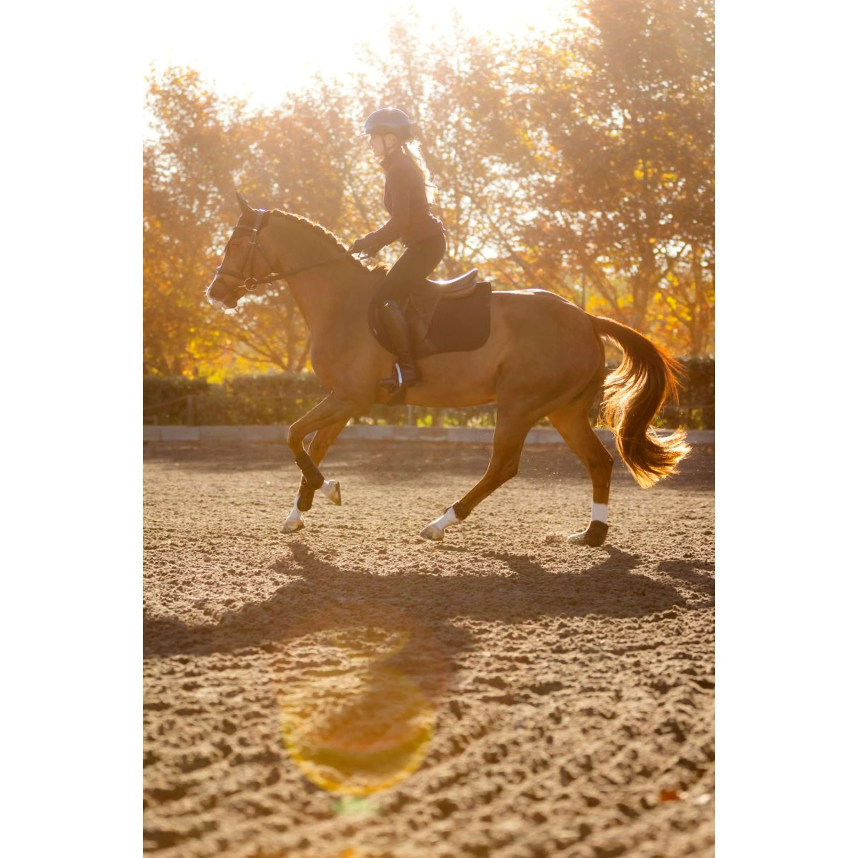 LeMieux Tapis de Selle Essence de Saut Noir - Image 2
