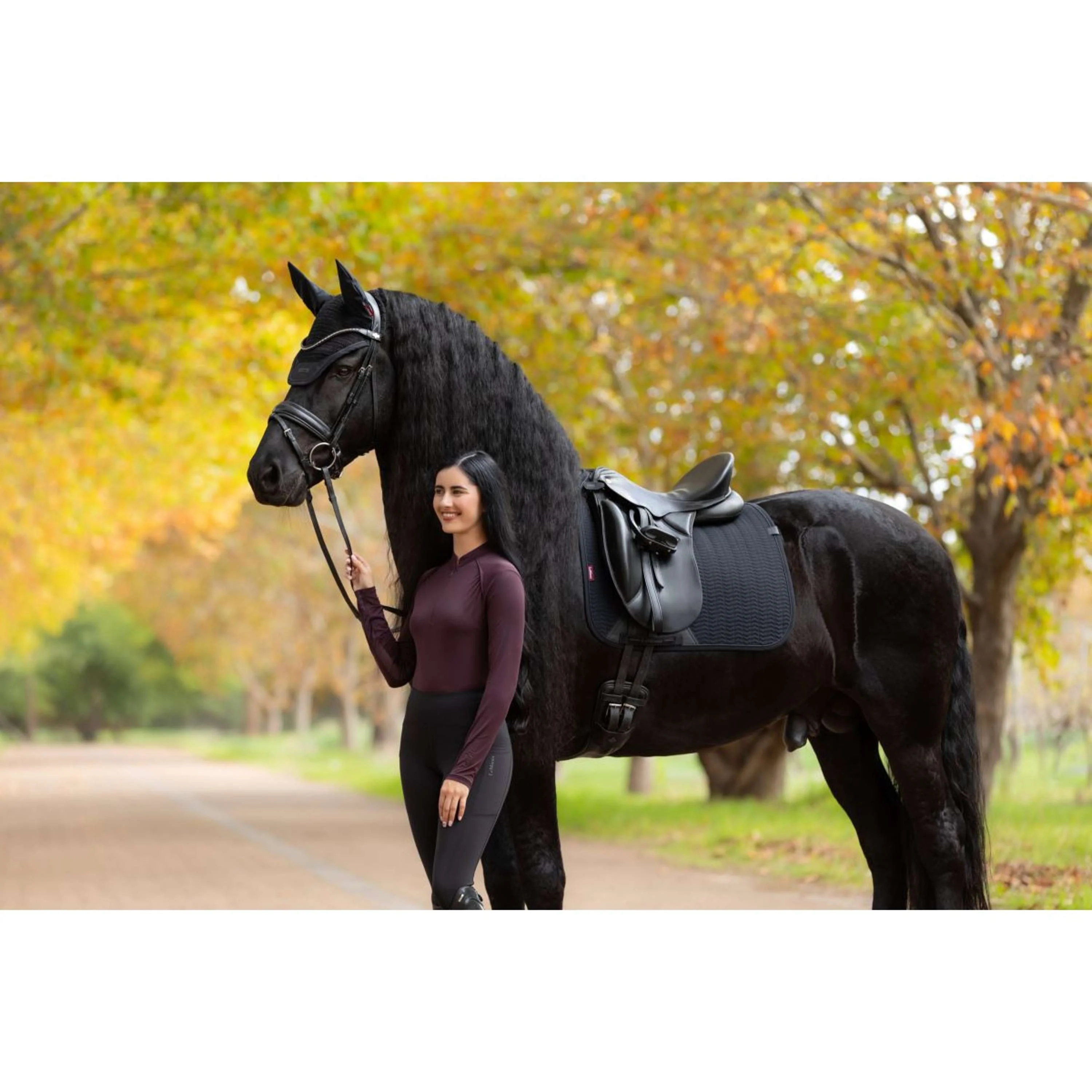 LeMieux Tapis de Selle Essence Dressage Noir - Image 10