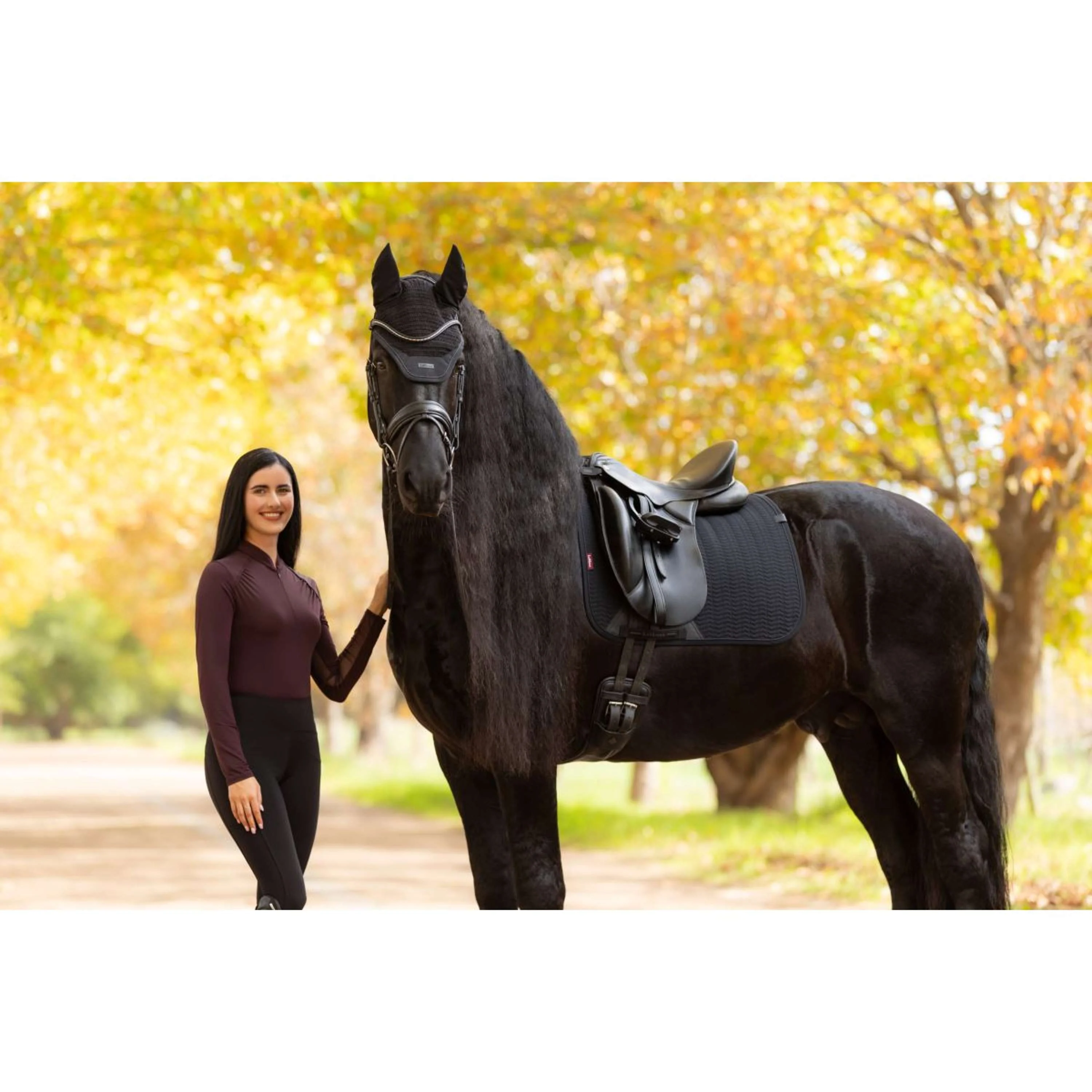 LeMieux Tapis de Selle Essence Dressage Noir - Image 4