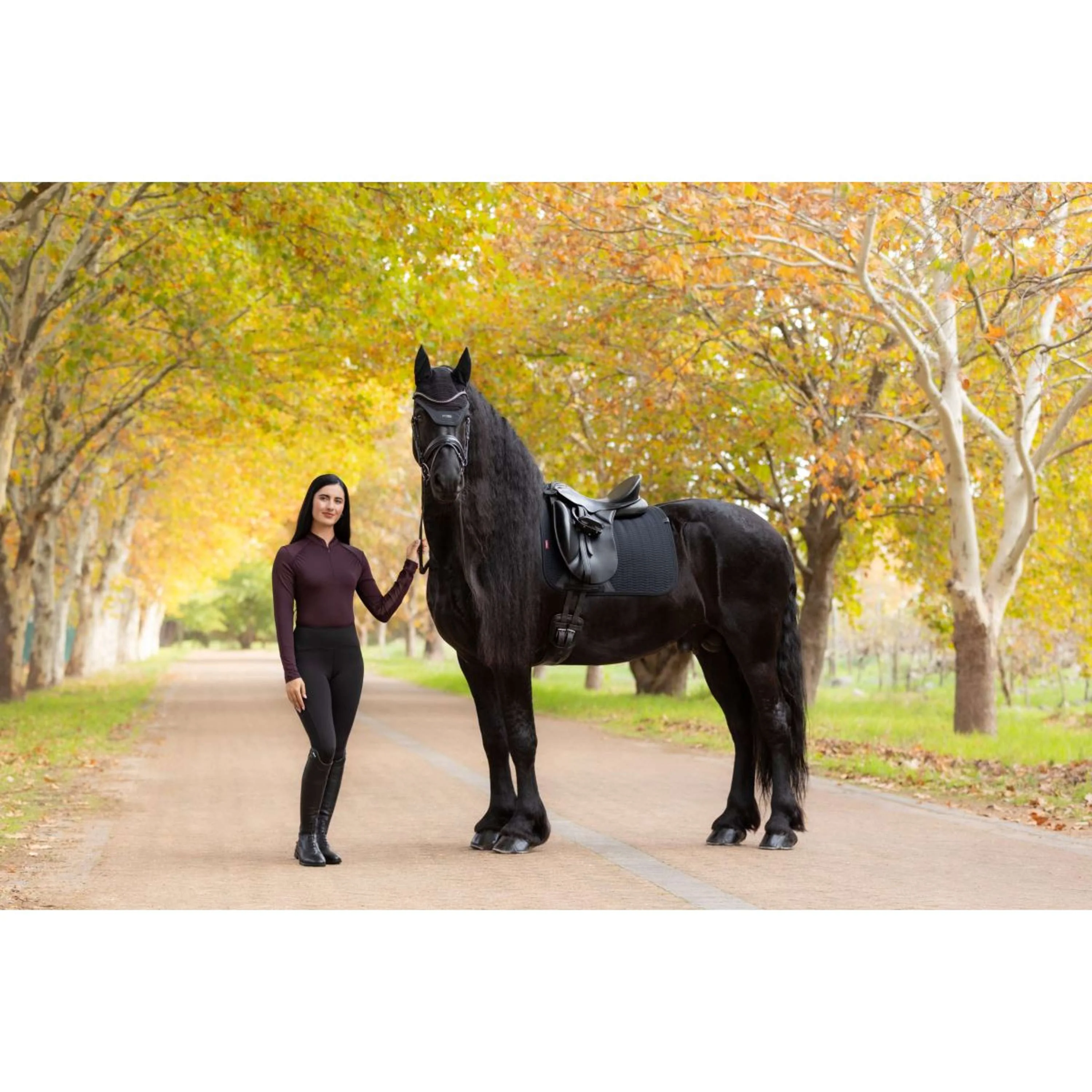LeMieux Tapis de Selle Essence Dressage Noir - Image 6
