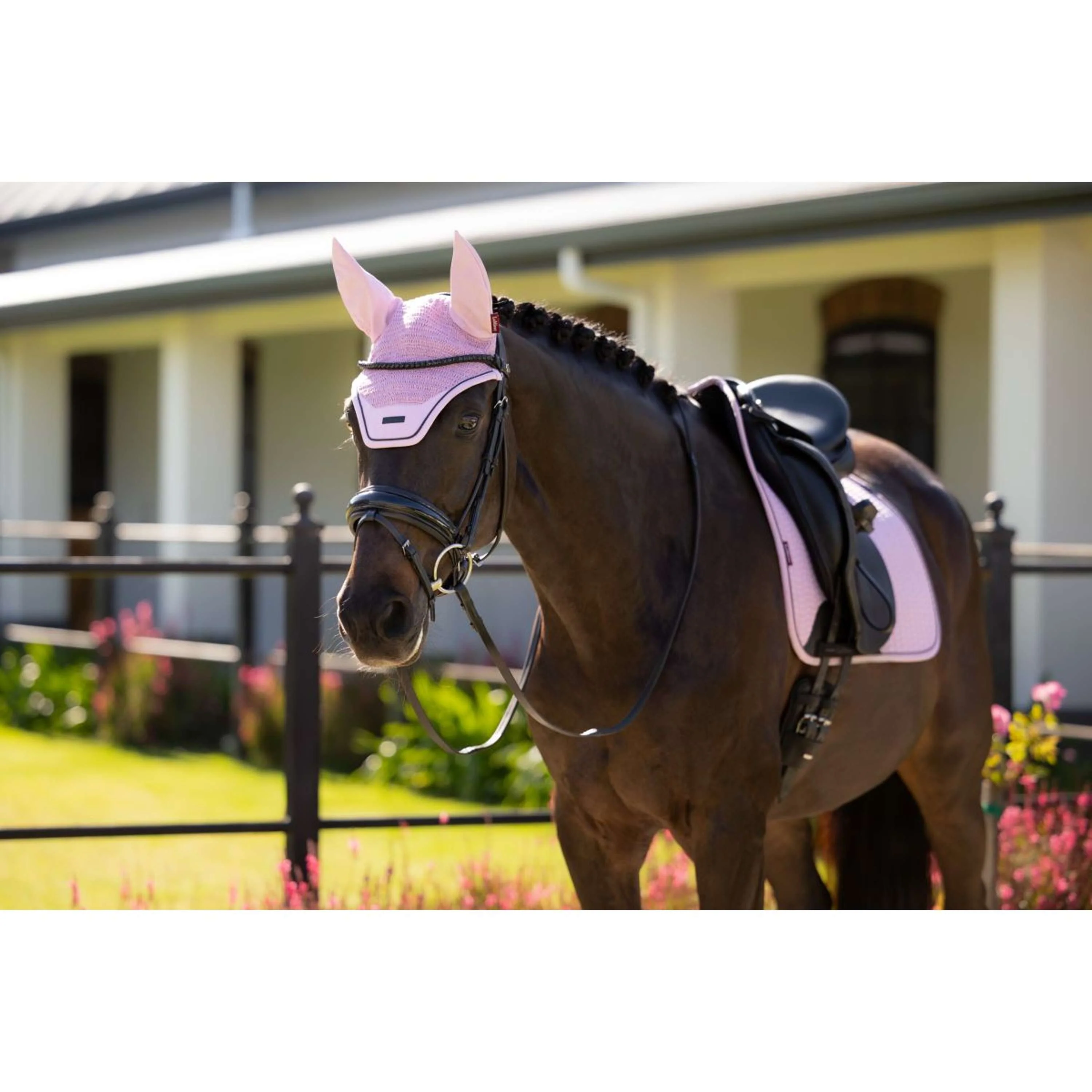 LeMieux Tapis de Selle Essence Square Dressage Fondant - Image 2