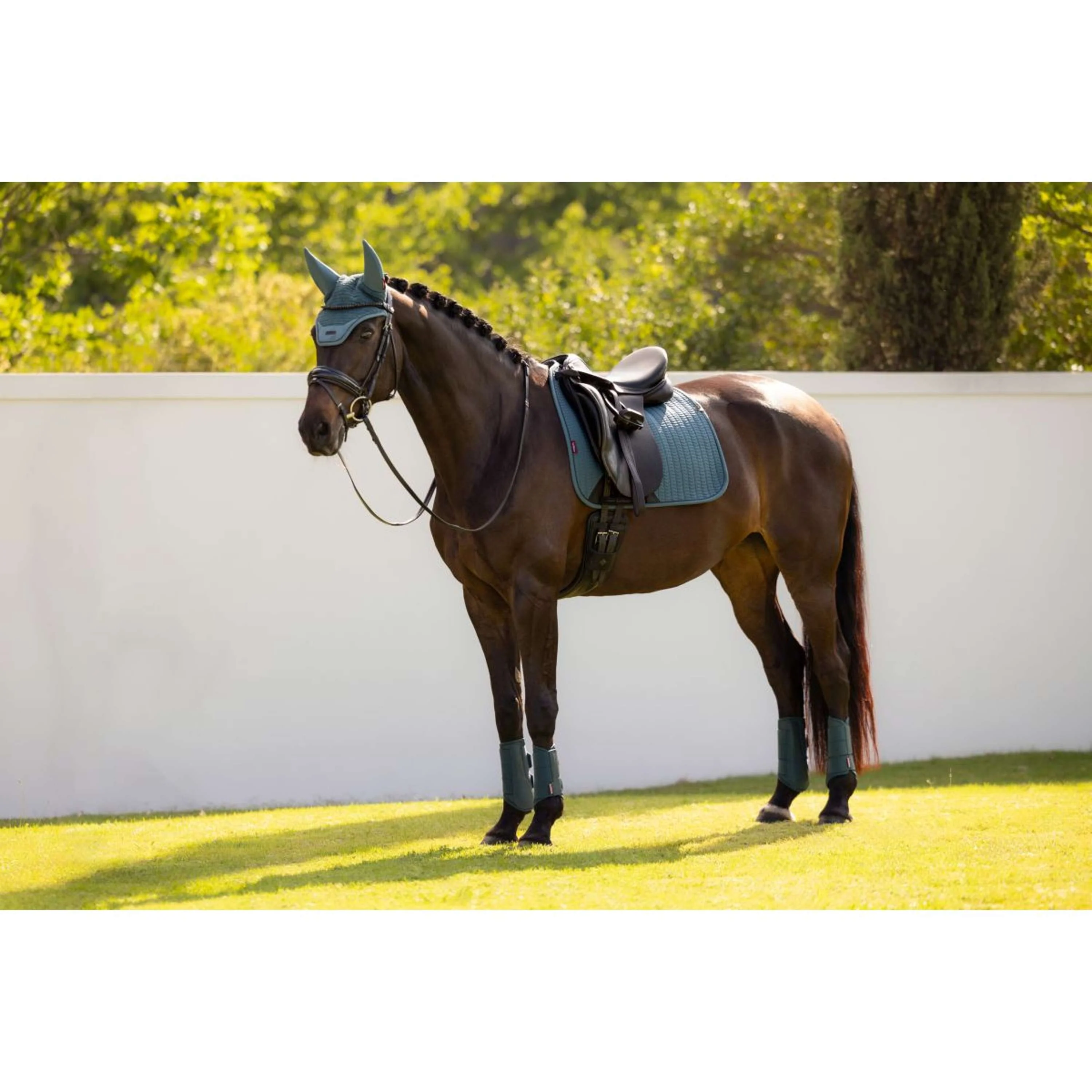 LeMieux Tapis de Selle Essence Square Dressage Jungle - Image 6